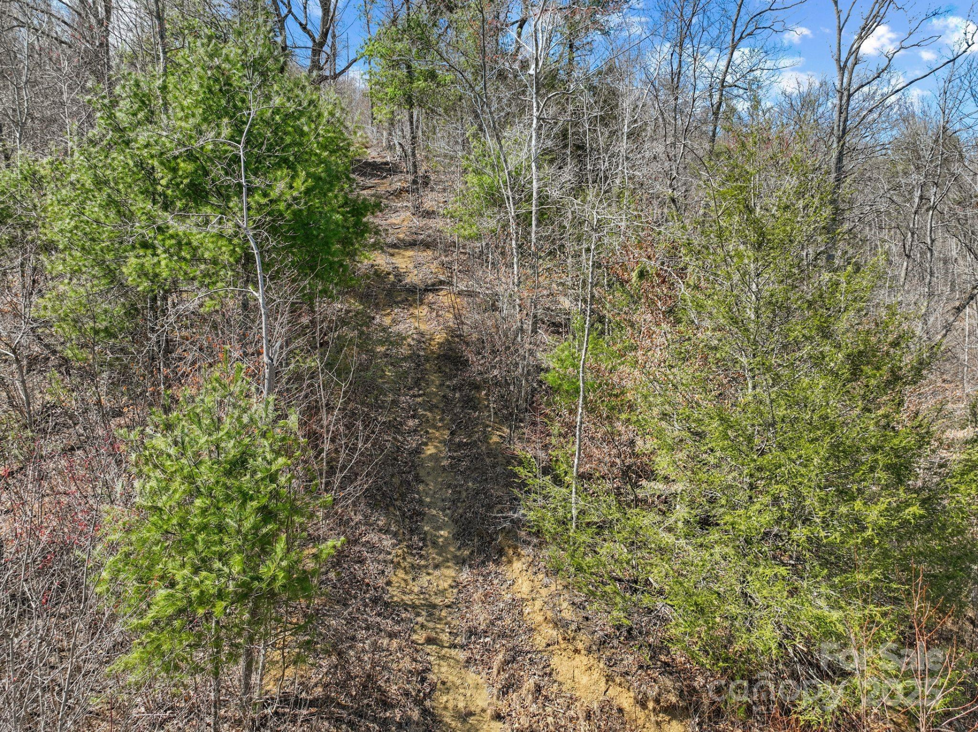 902 Spillcorn Road - Photo 15