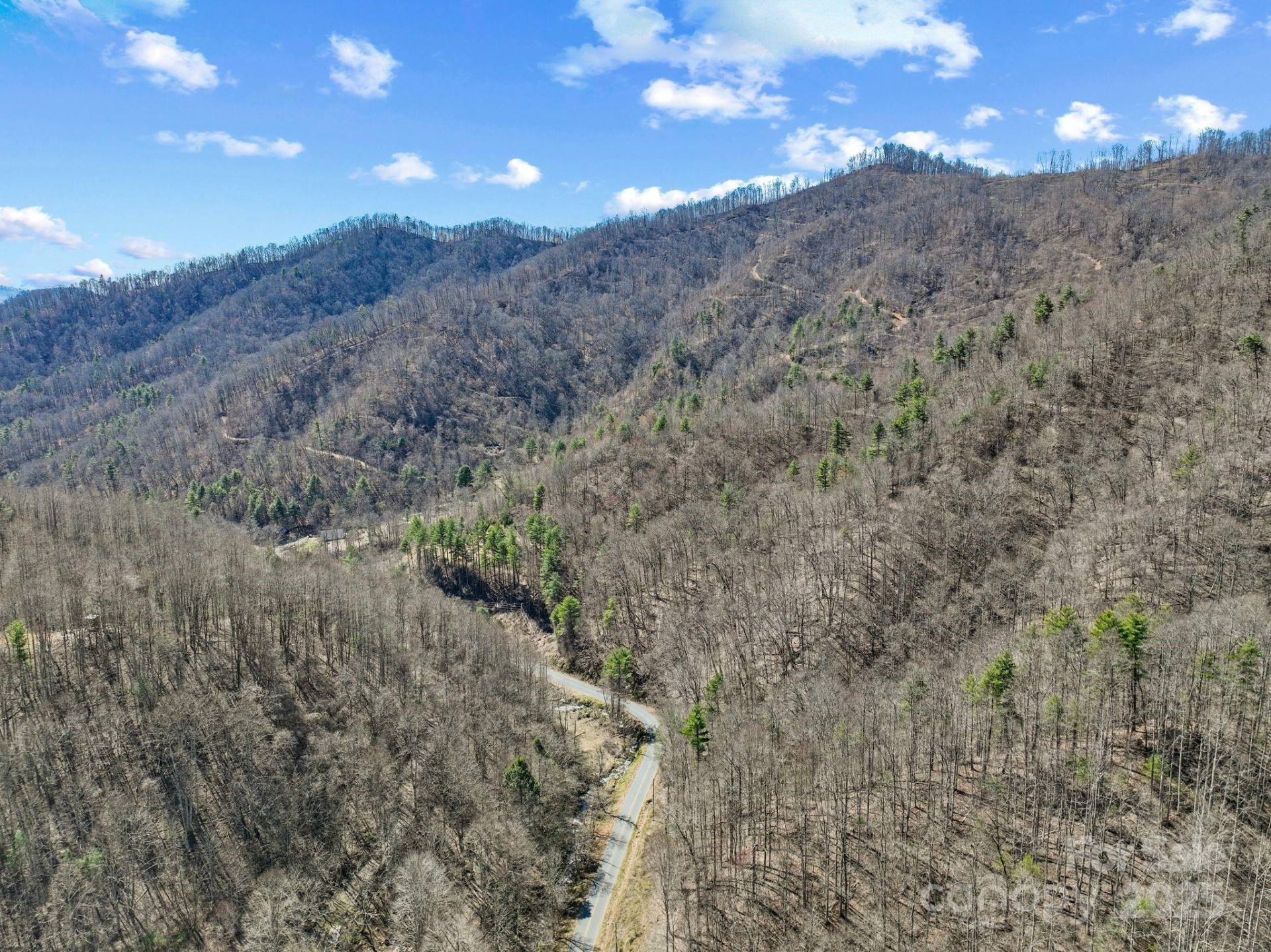 902 Spillcorn Road - Photo 17