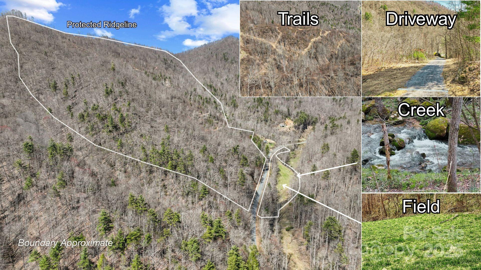 902 Spillcorn Road - Photo 18