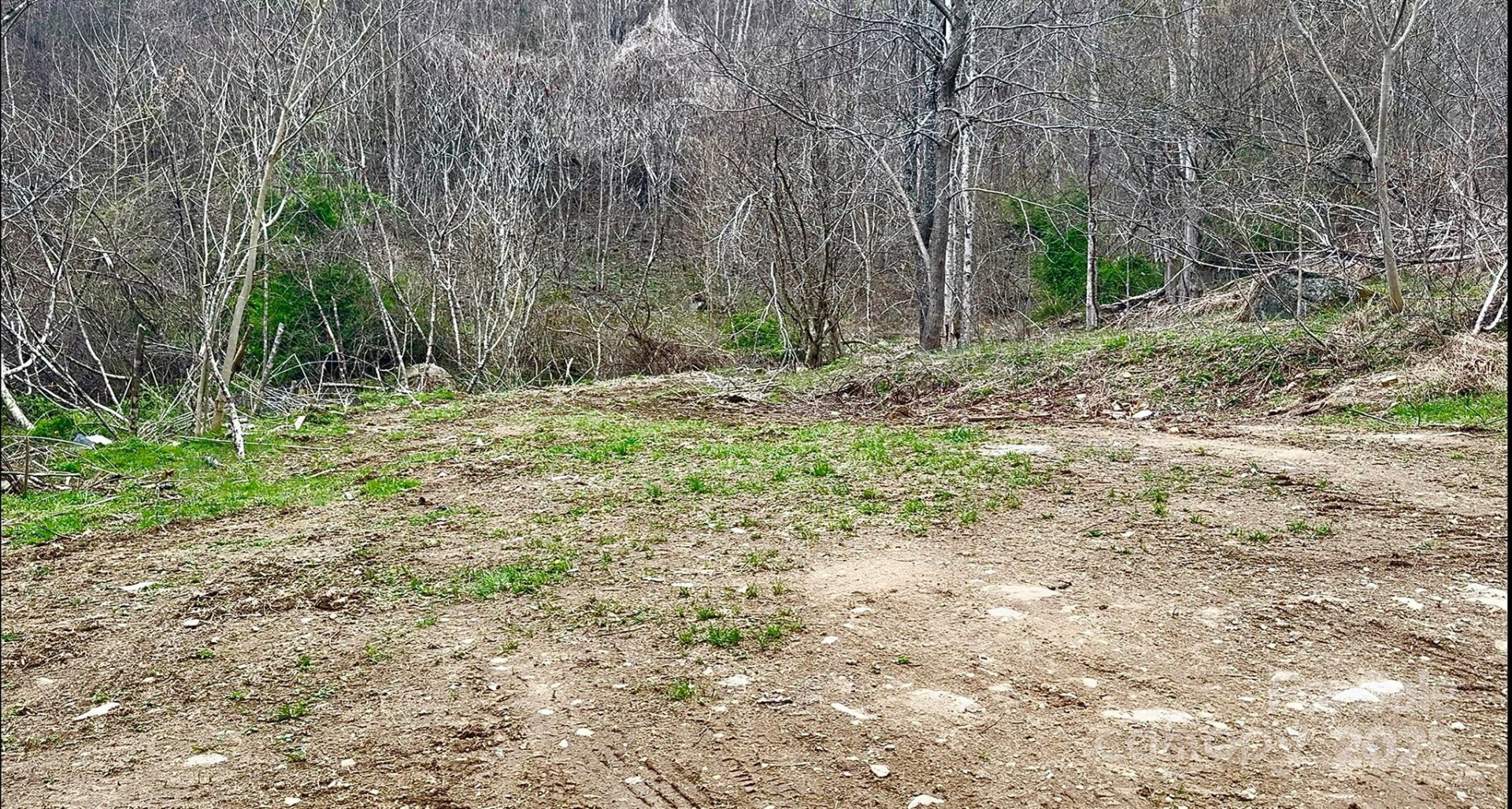 902 Spillcorn Road - Photo 4