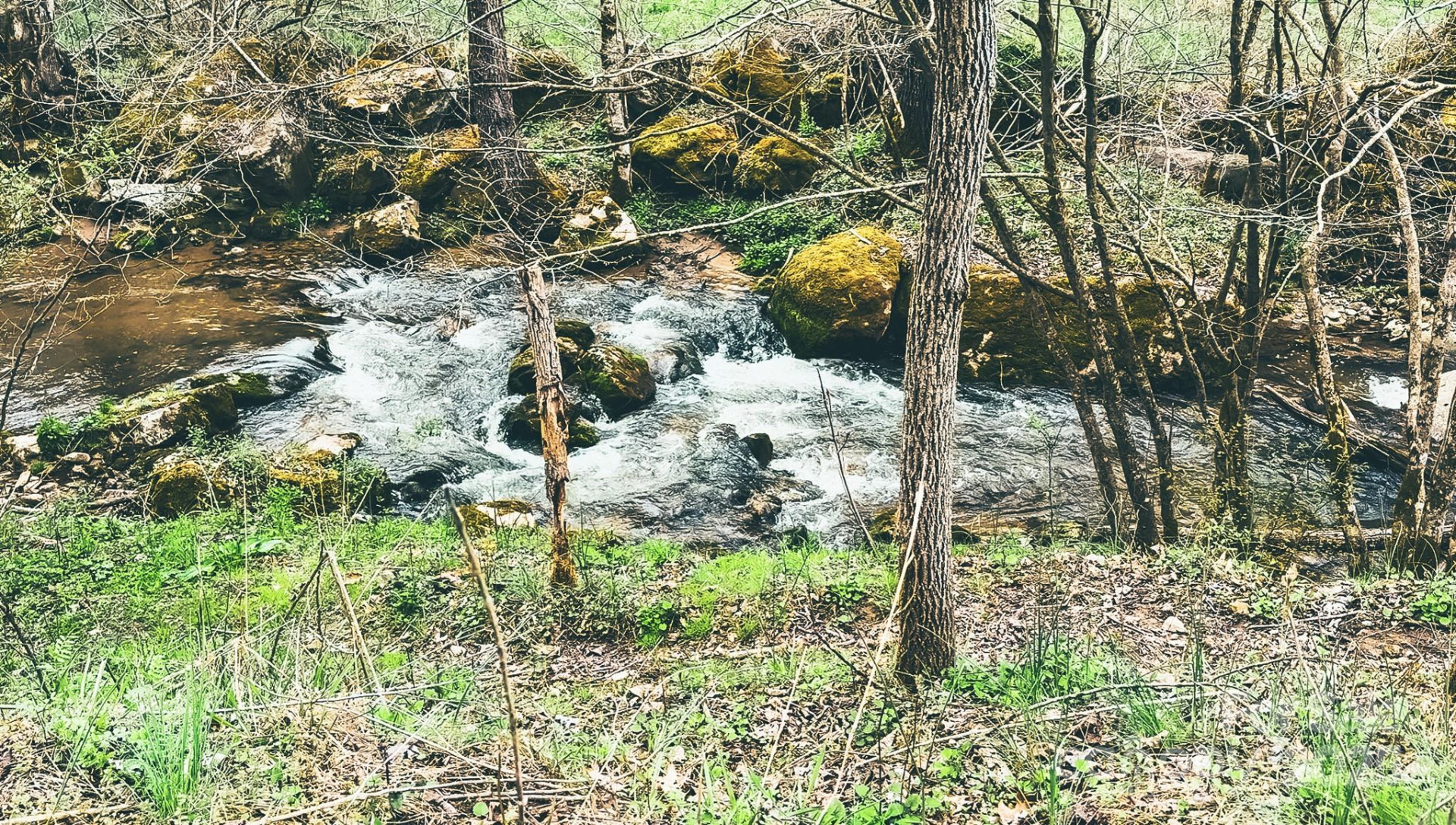 902 Spillcorn Road - Photo 6