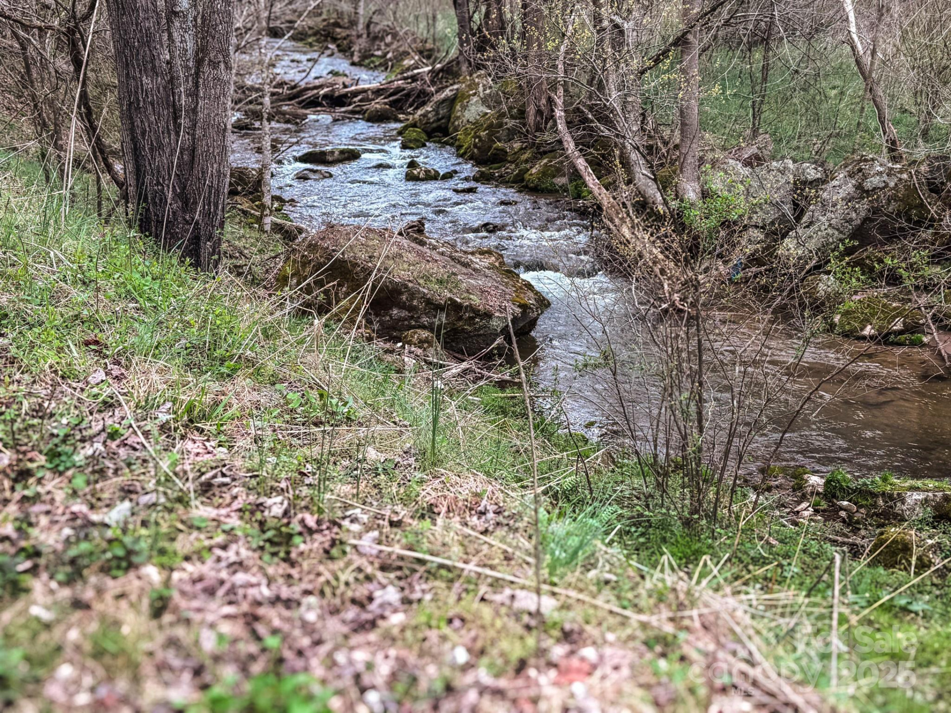 902 Spillcorn Road - Photo 7