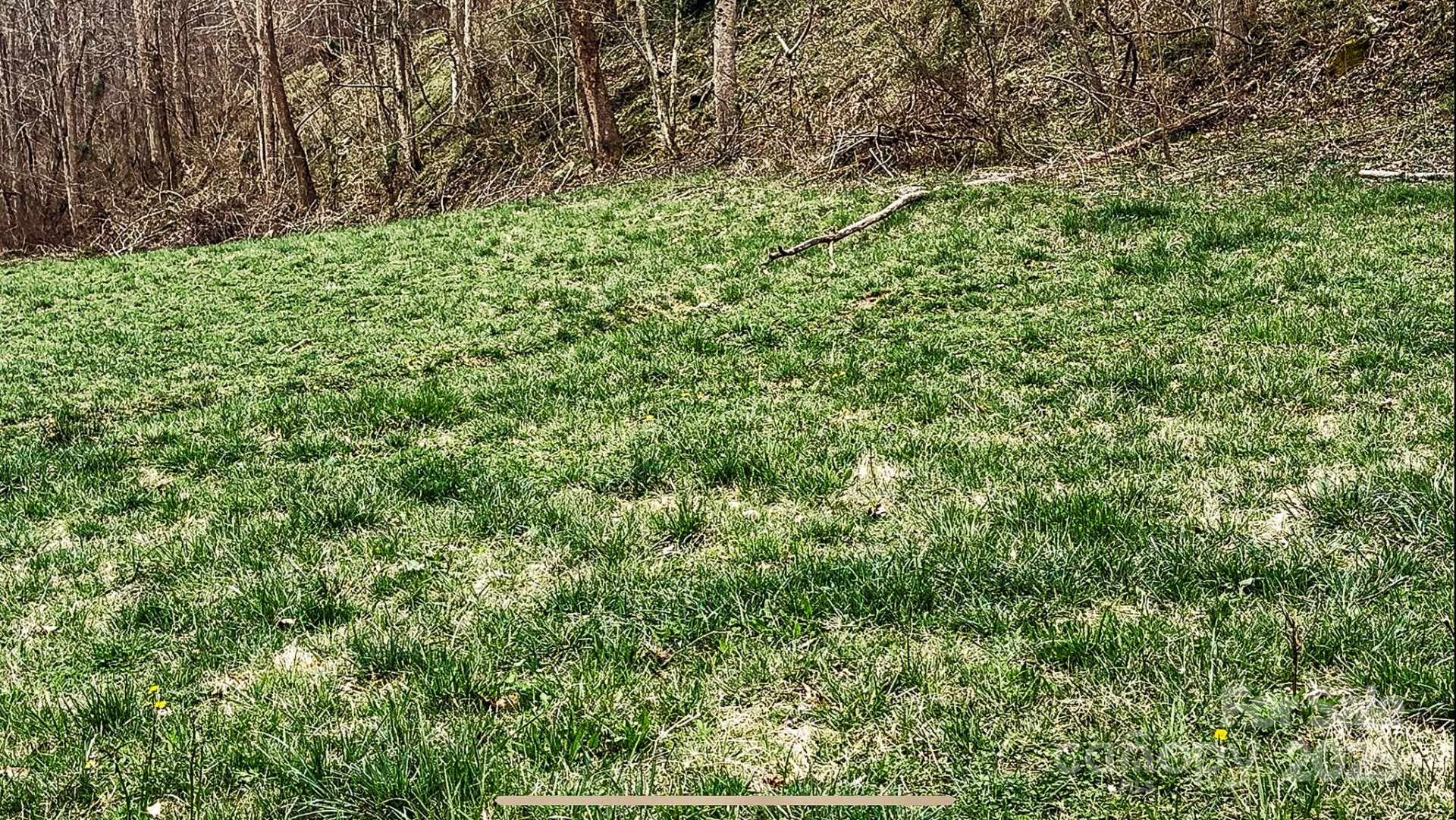 902 Spillcorn Road - Photo 8