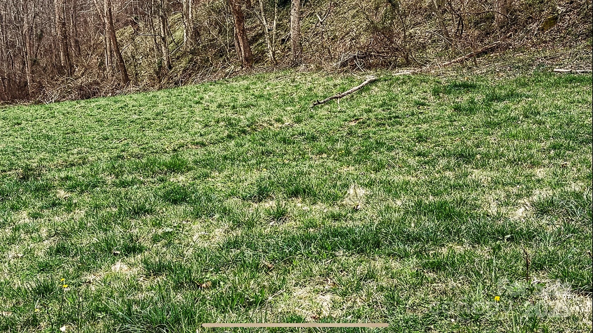 902 Spillcorn Road - Photo 8