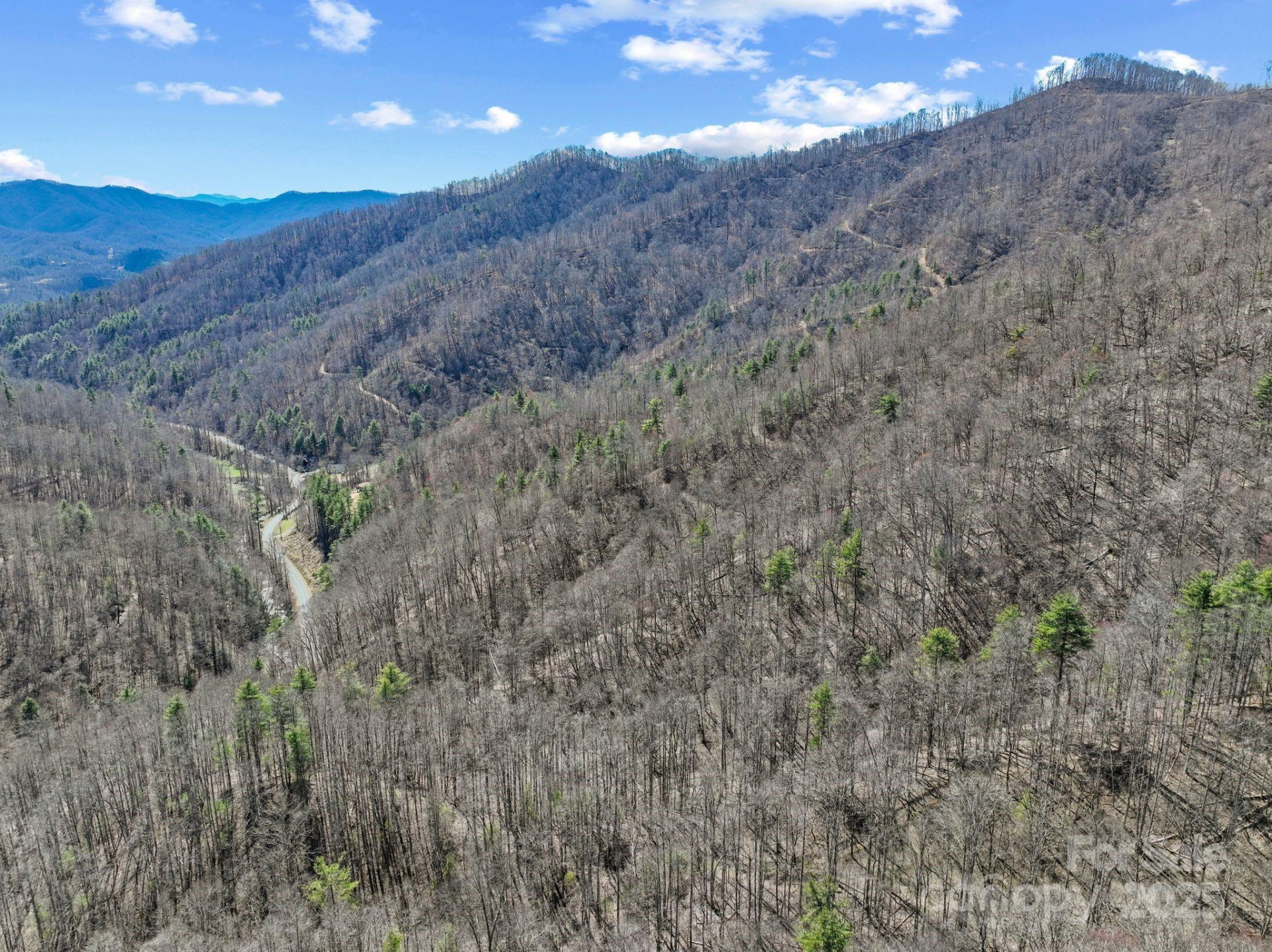 902 Spillcorn Road - Photo 9