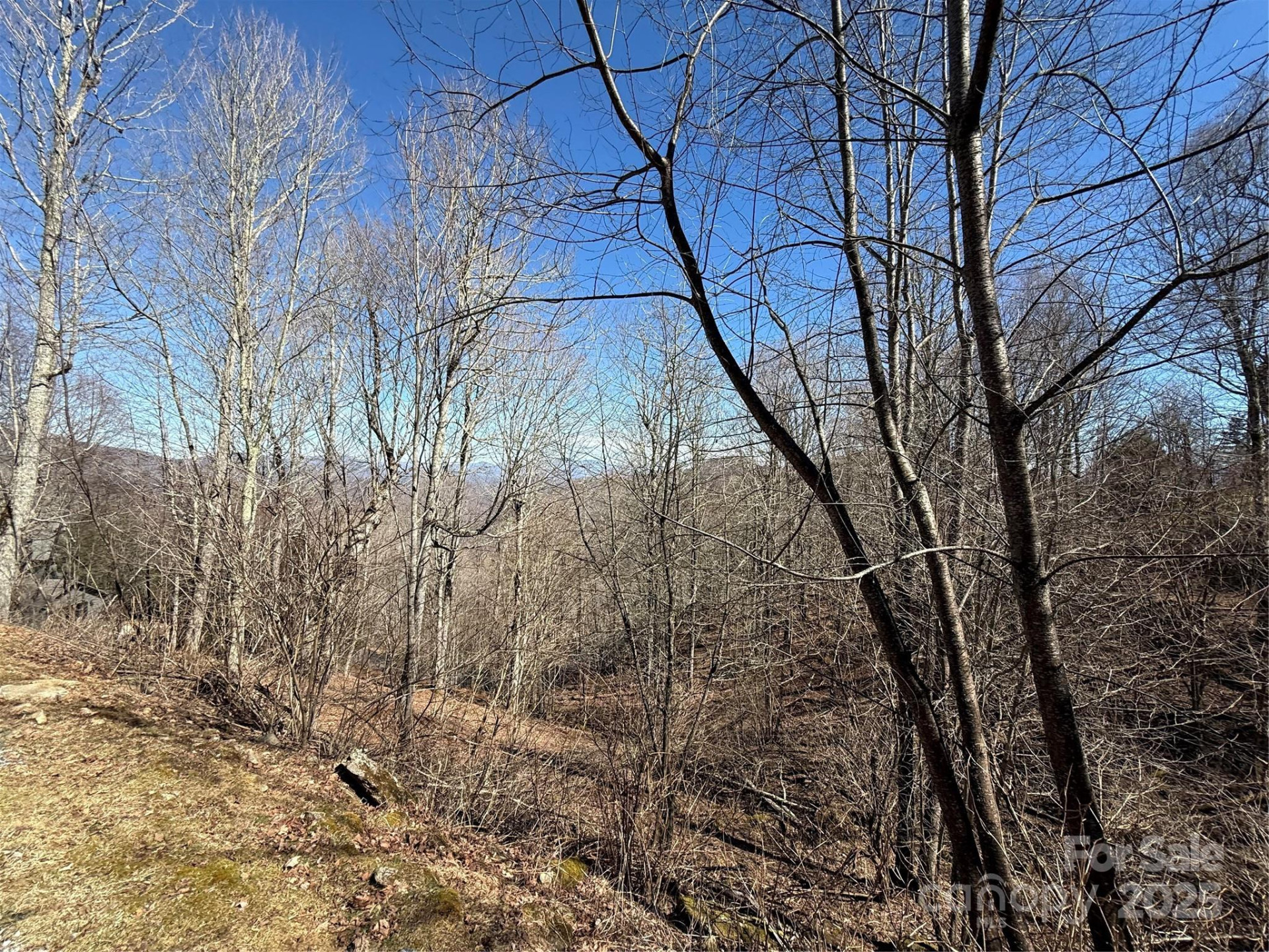 000 Running Cedar Lane #31
