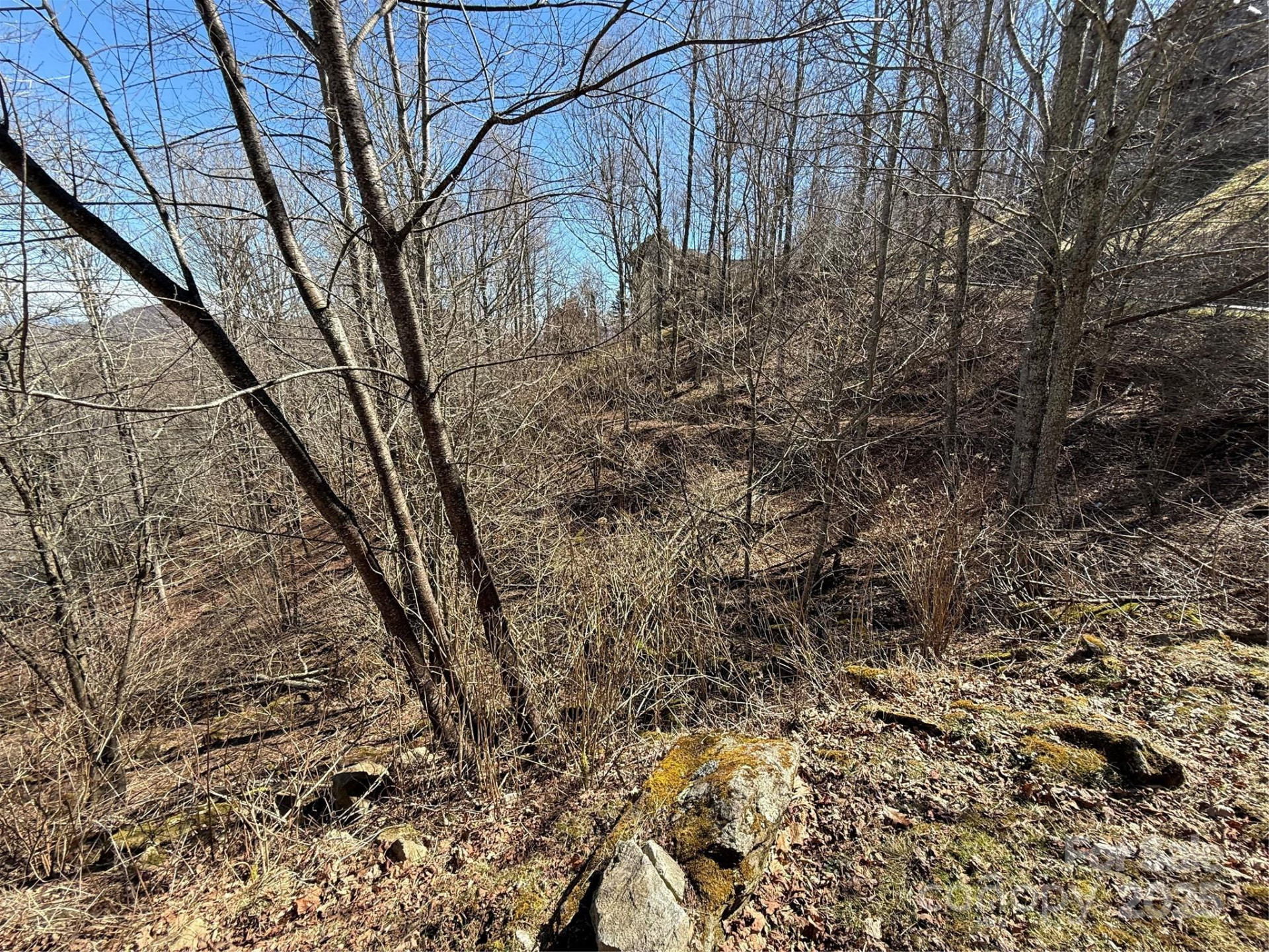 000 Running Cedar Lane #31 - Photo 2