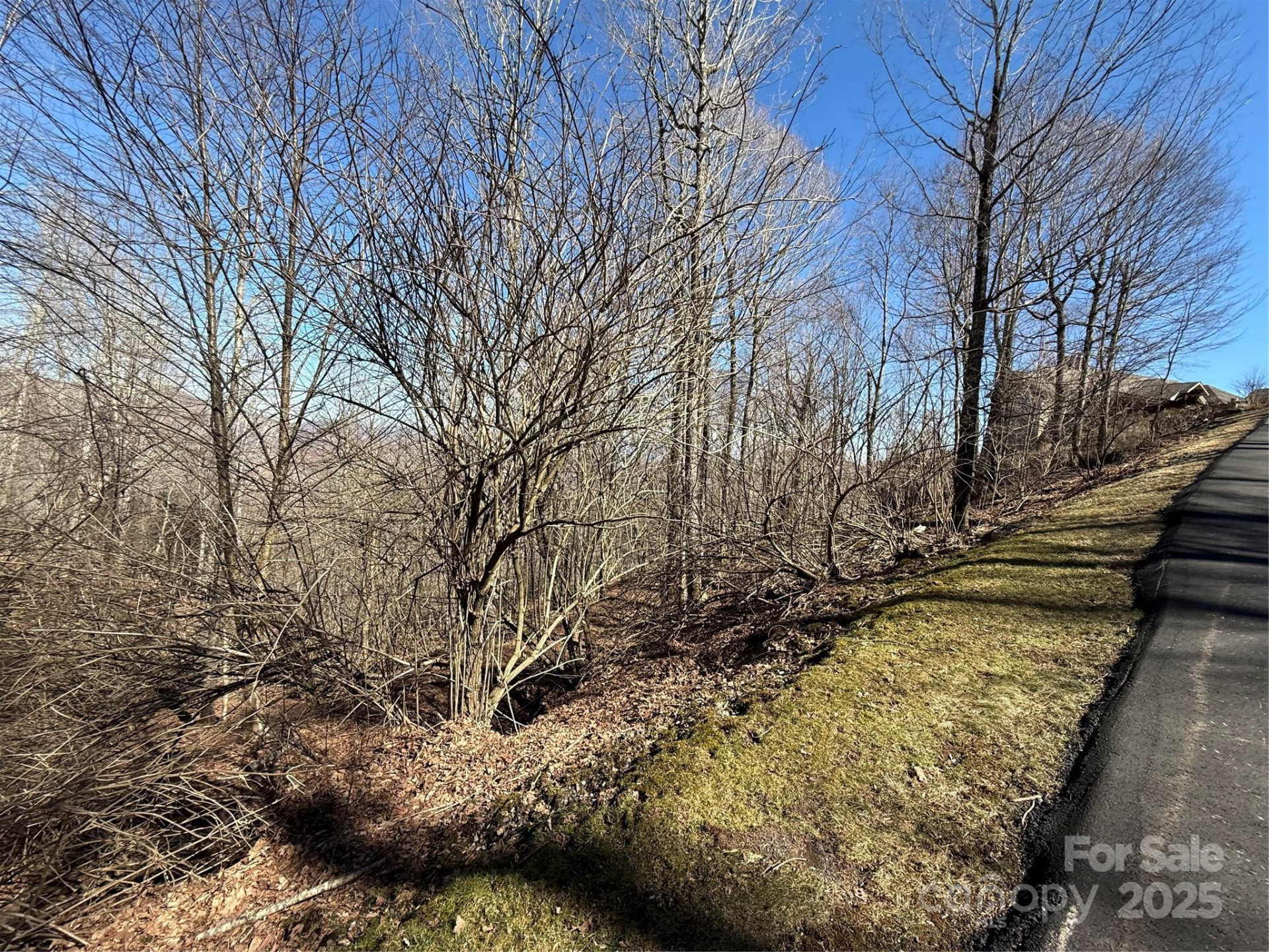 000 Running Cedar Lane #31 - Photo 12