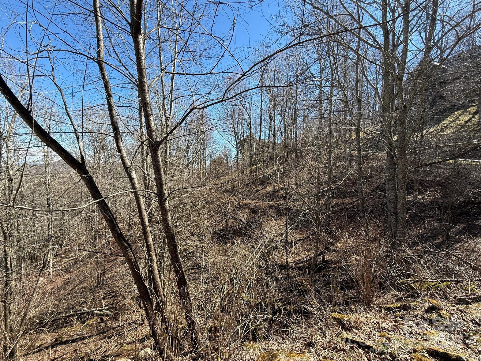 000 Running Cedar Lane #31 - Photo 4
