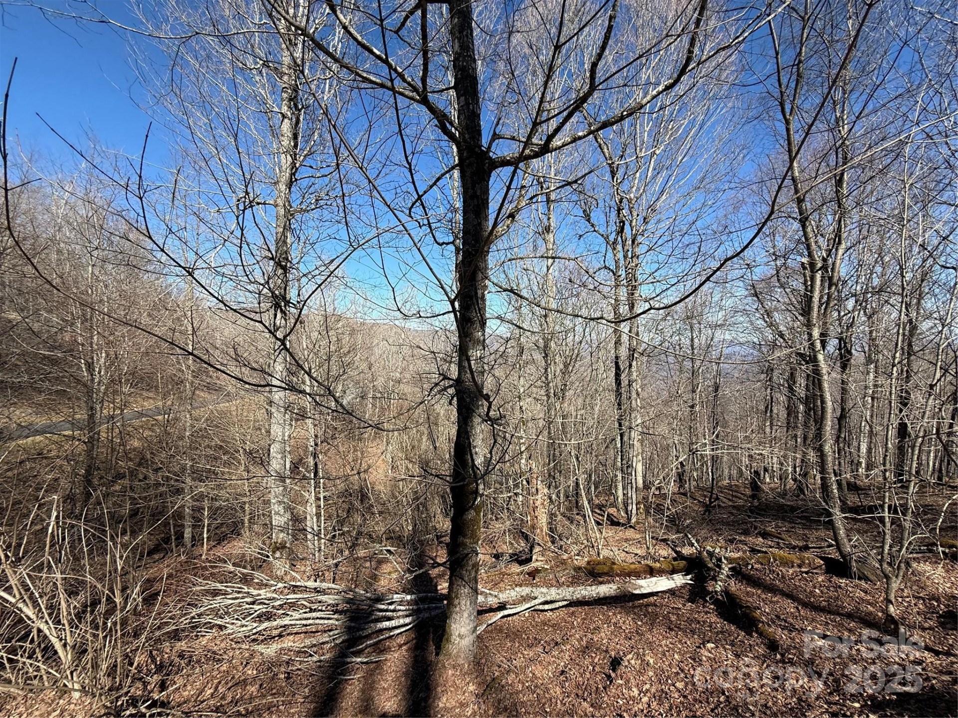 000 Running Cedar Lane #31 - Photo 5