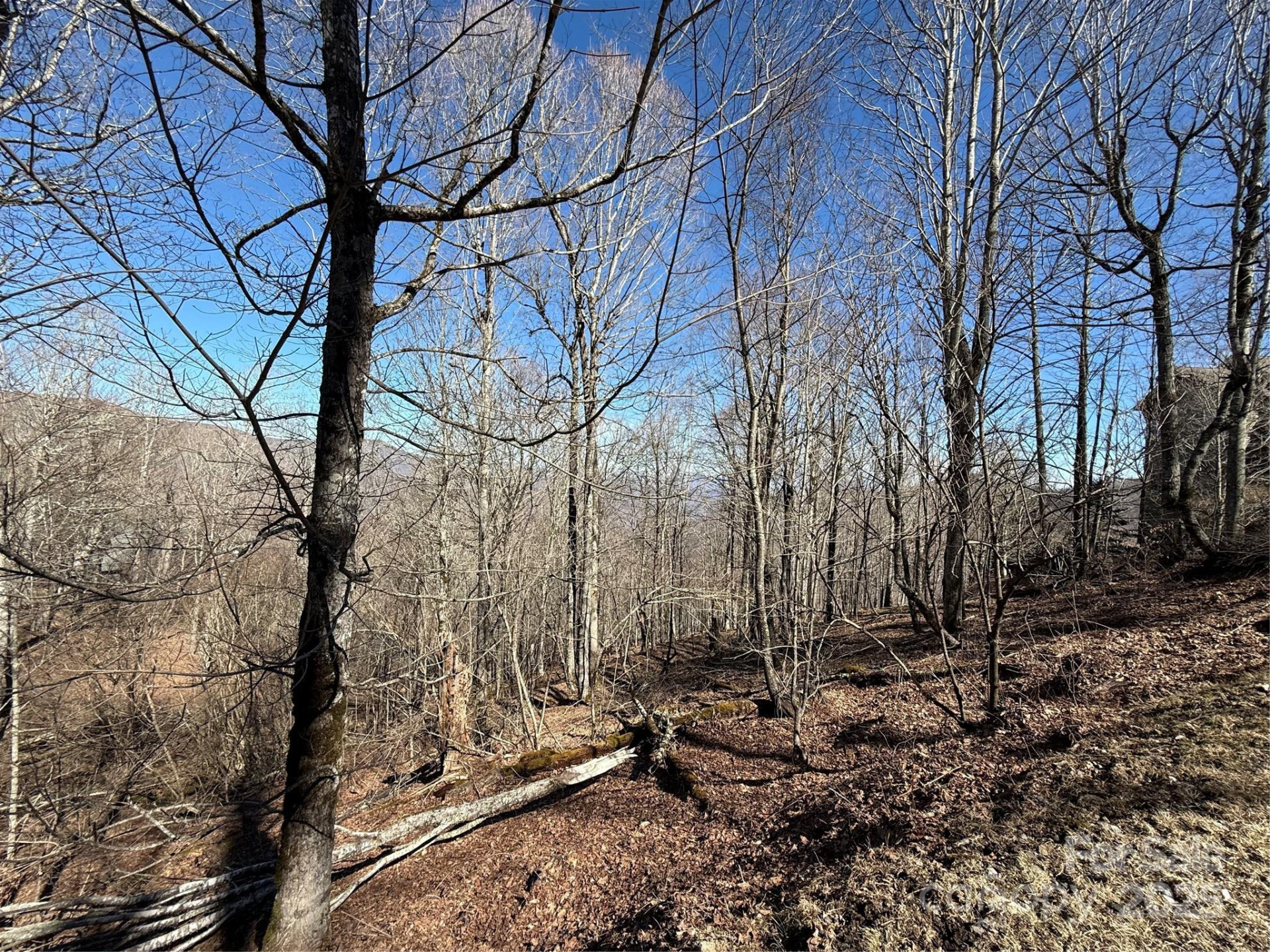 000 Running Cedar Lane #31 - Photo 6