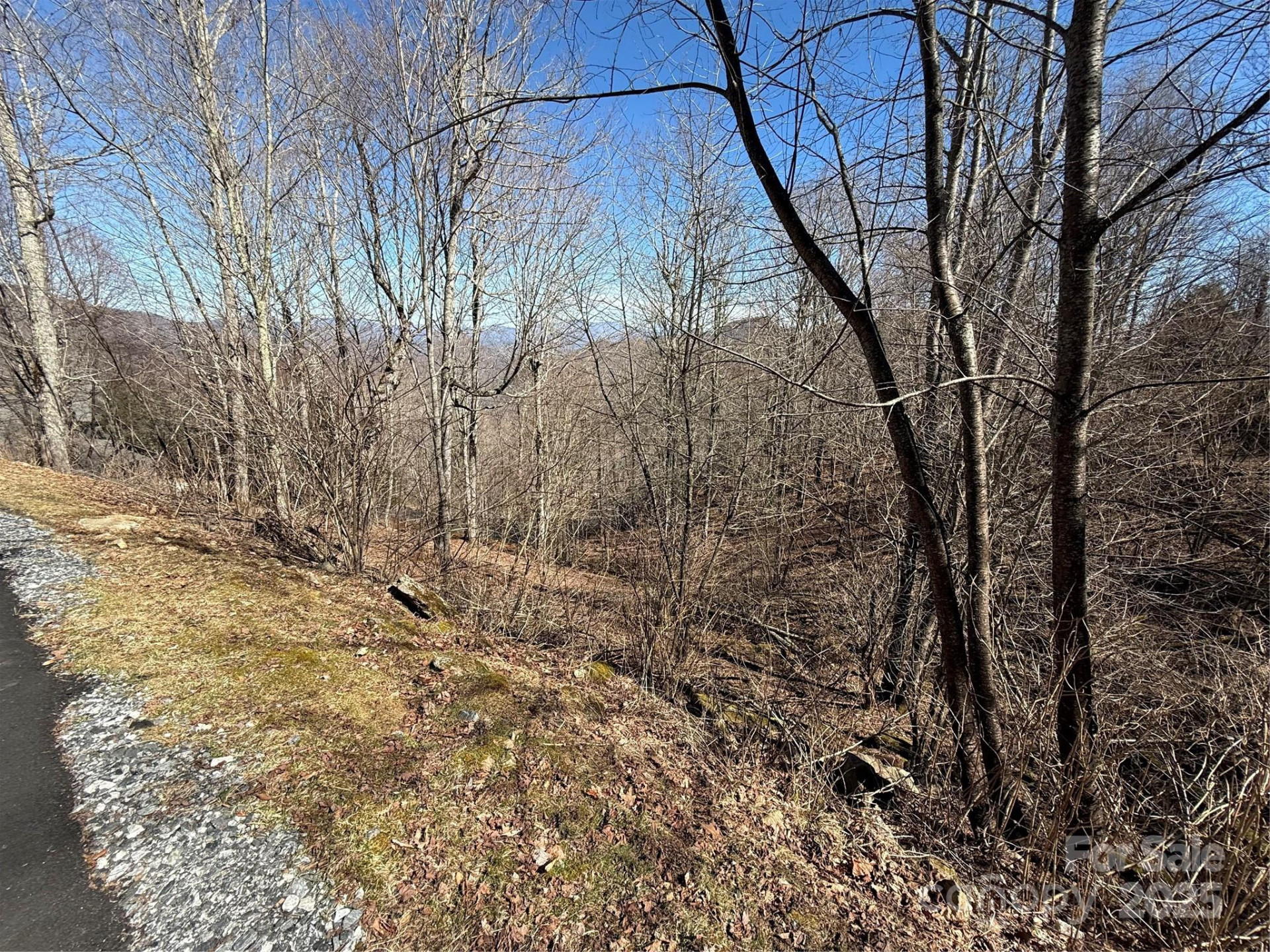 000 Running Cedar Lane #31 - Photo 7