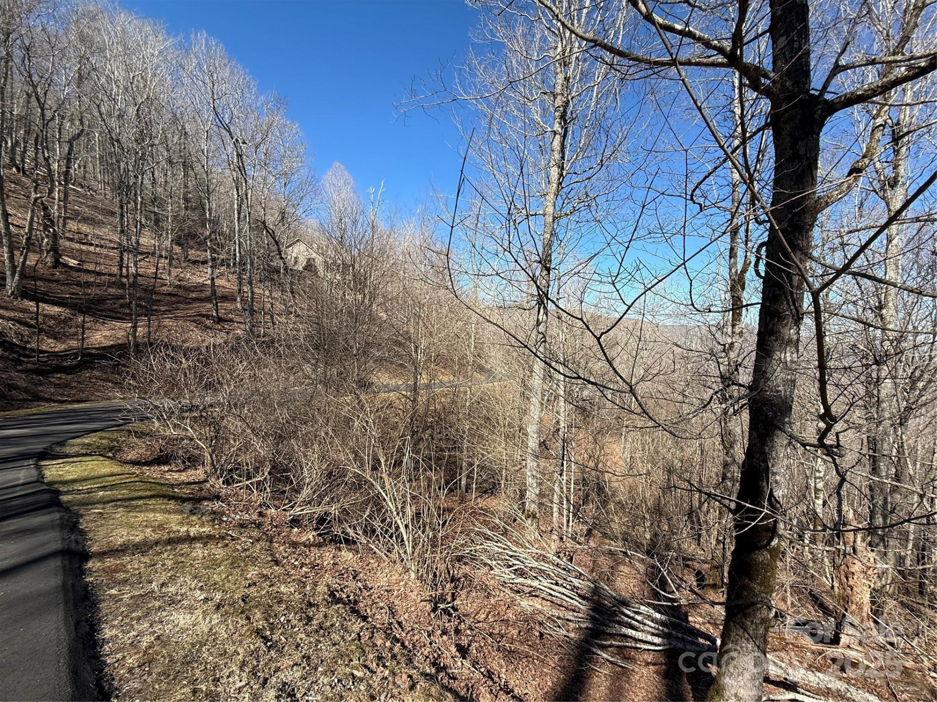 000 Running Cedar Lane #31 - Photo 8