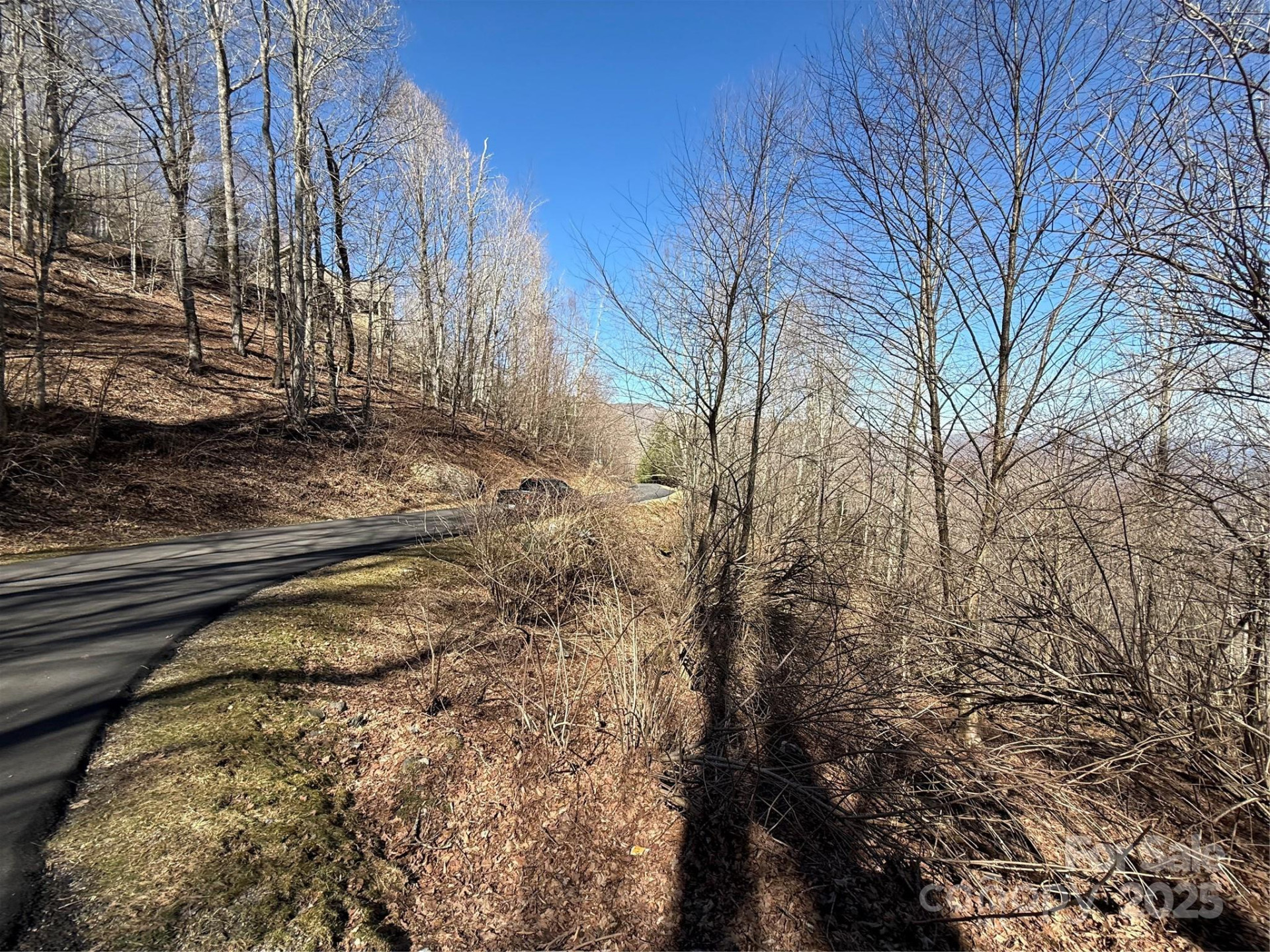 000 Running Cedar Lane #31 - Photo 9