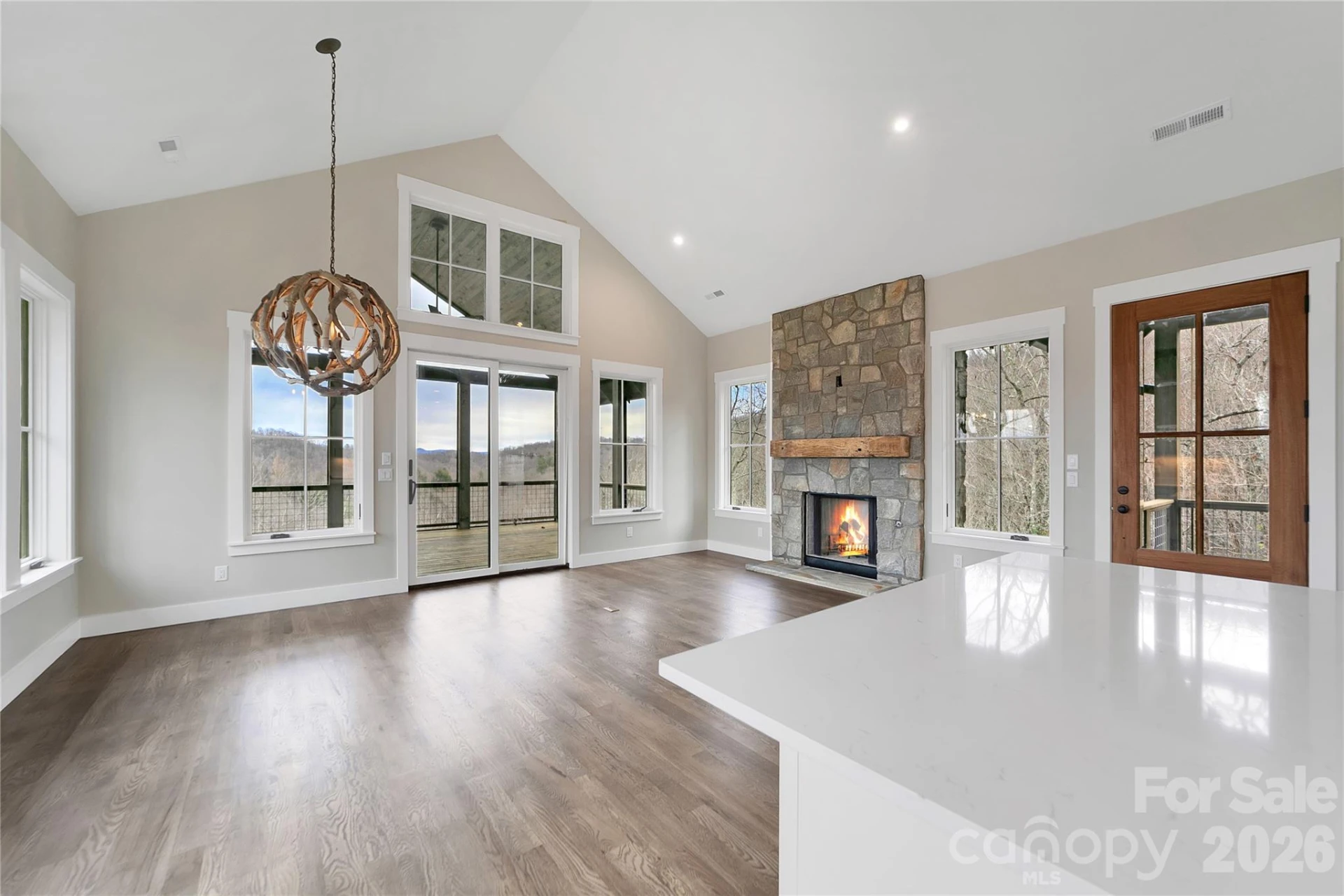 371 Falls View Drive - Photo 10