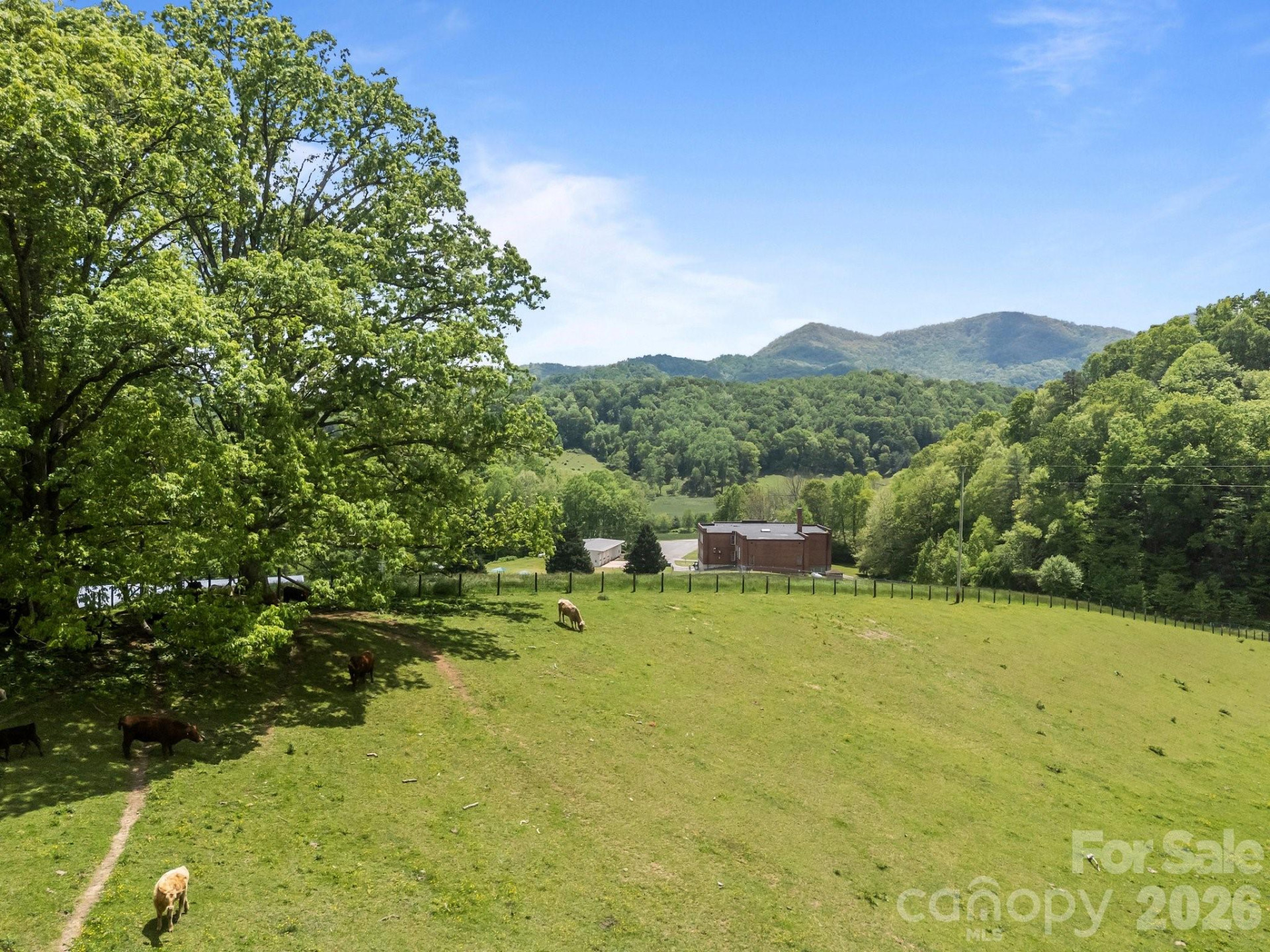 411 Big Sandy Mush Road - Photo 12