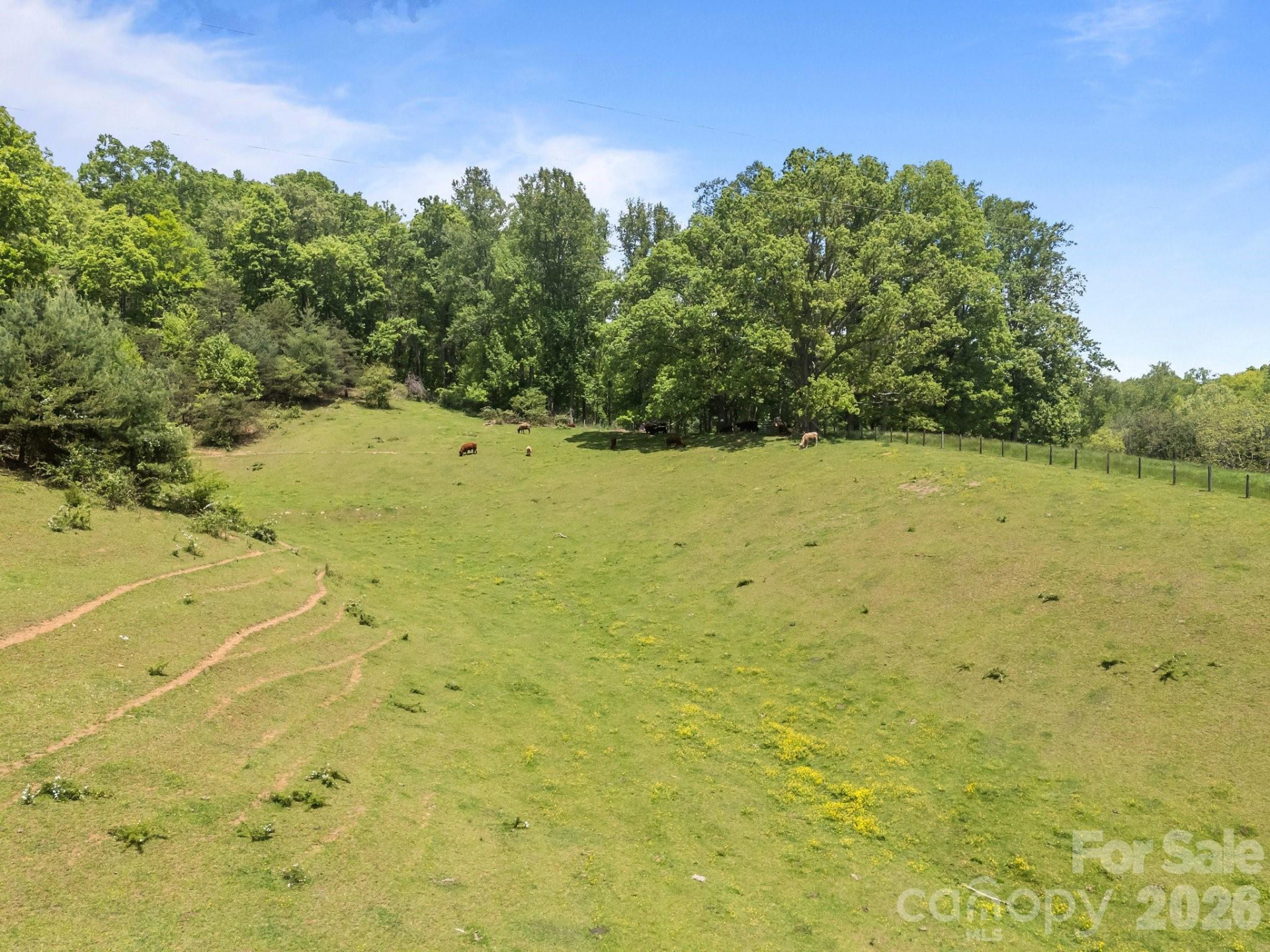 411 Big Sandy Mush Road - Photo 13