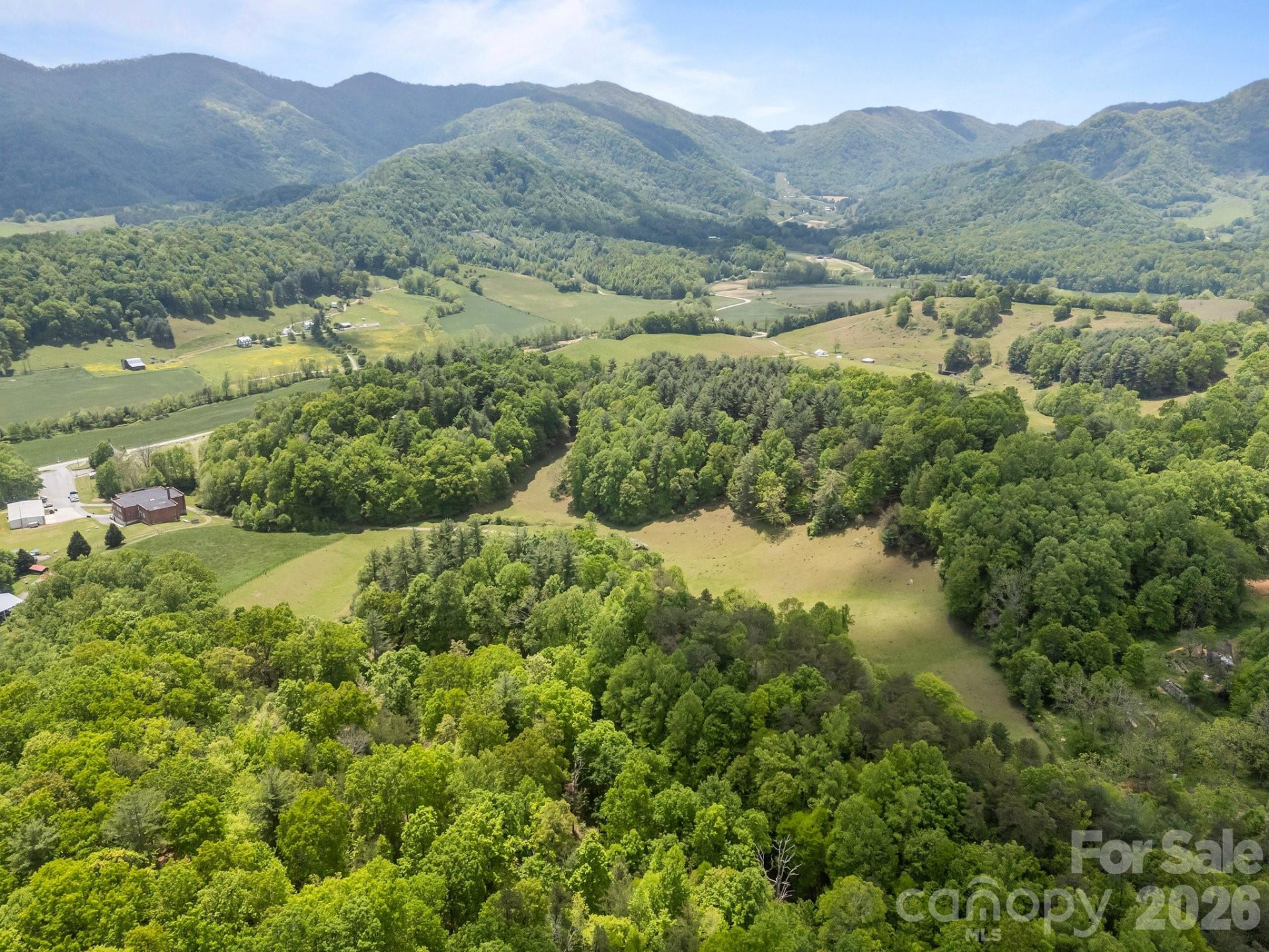 411 Big Sandy Mush Road - Photo 14