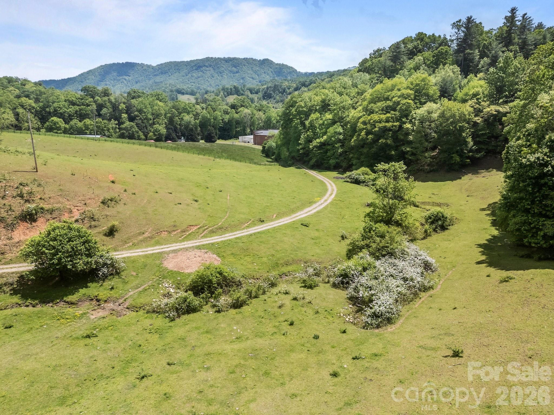 411 Big Sandy Mush Road - Photo 15