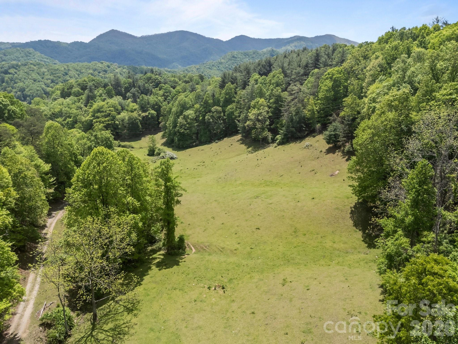 411 Big Sandy Mush Road - Photo 16