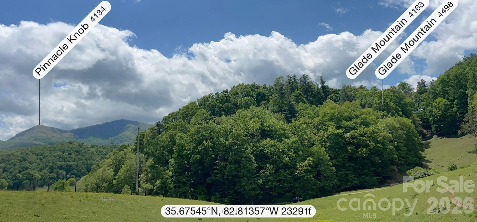 411 Big Sandy Mush Road - Photo 17