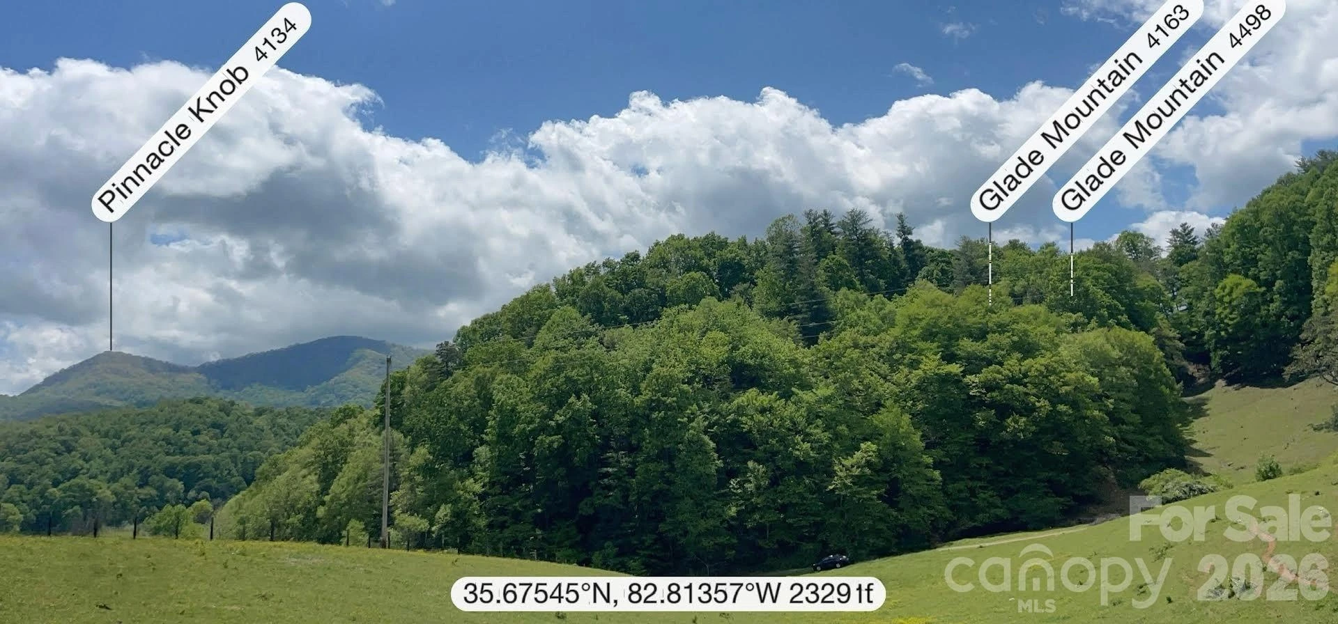 411 Big Sandy Mush Road - Photo 17