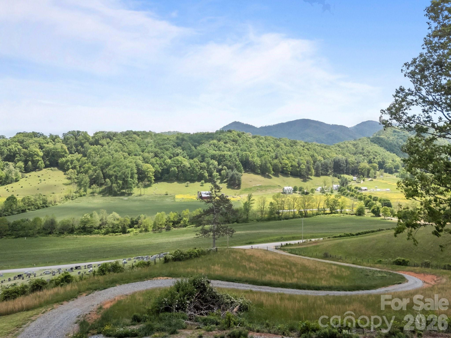 411 Big Sandy Mush Road - Photo 3