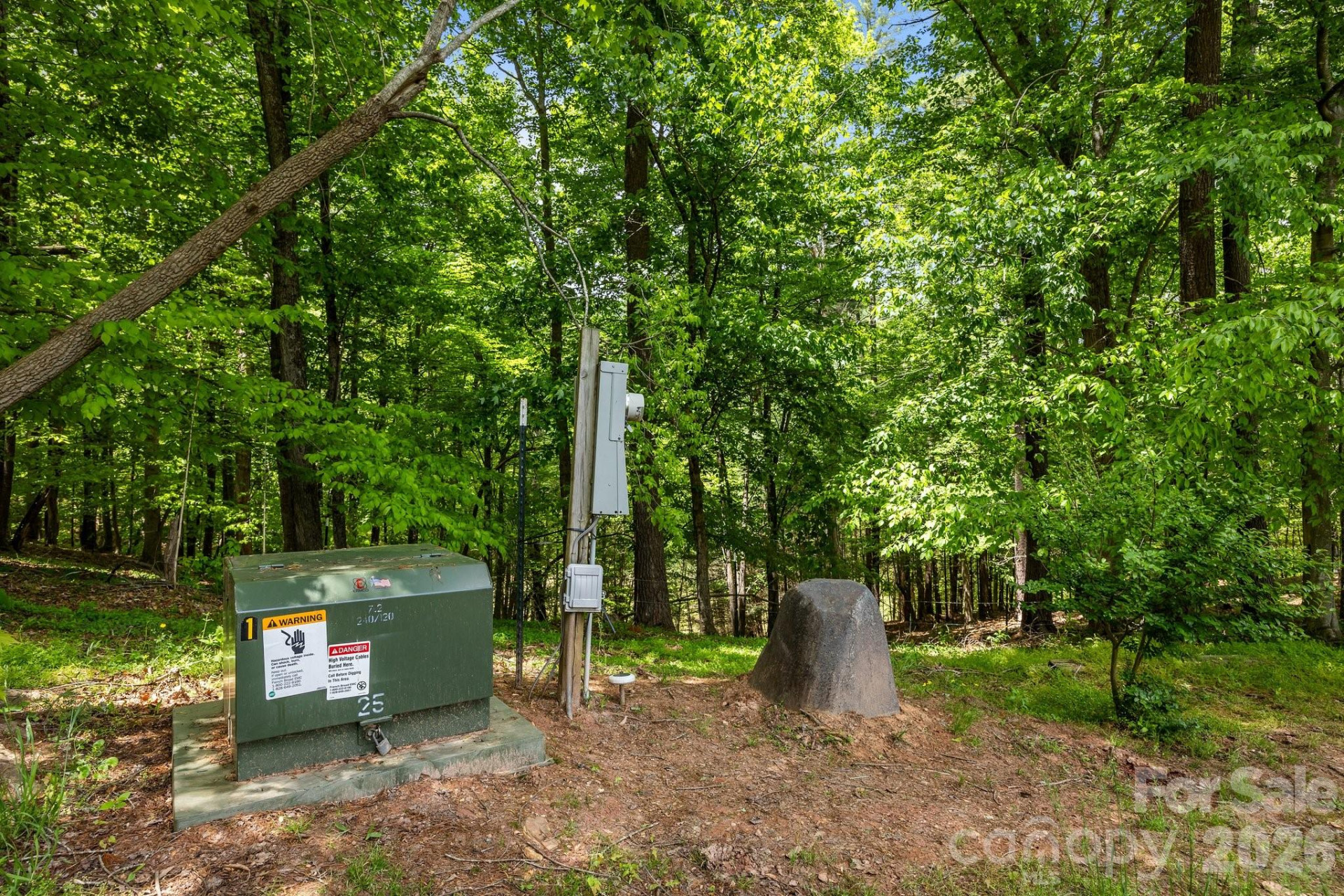 411 Big Sandy Mush Road - Photo 5