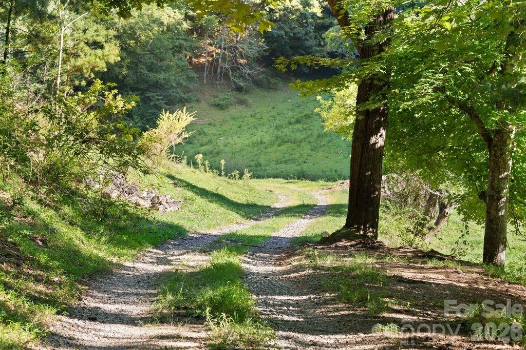 411 Big Sandy Mush Road - Photo 25
