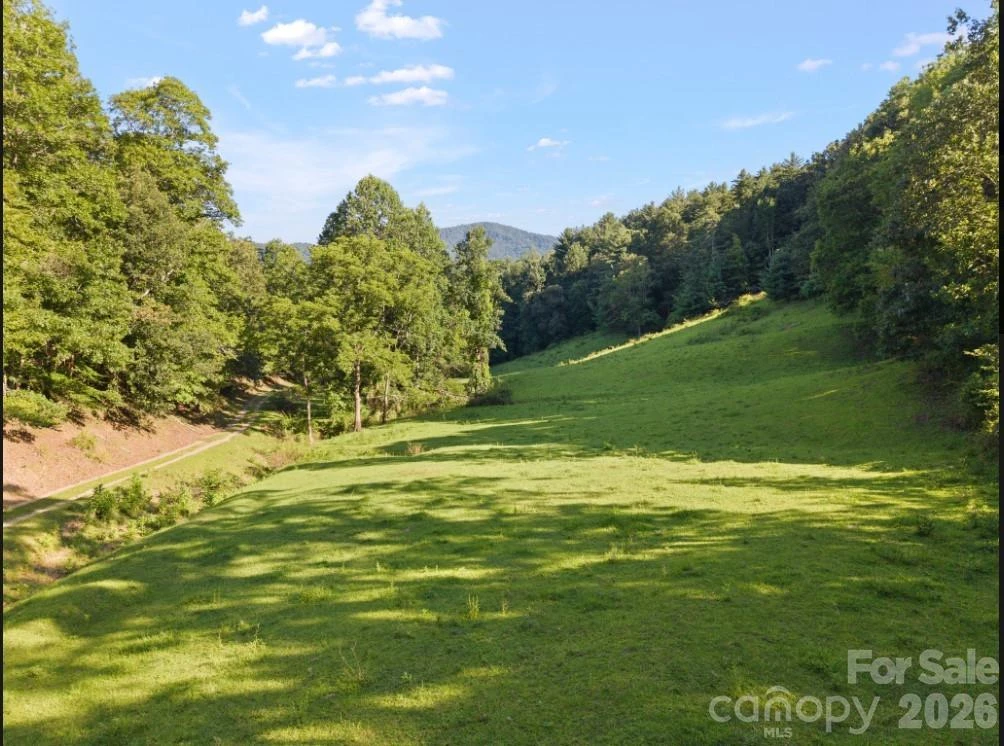 411 Big Sandy Mush Road - Photo 28