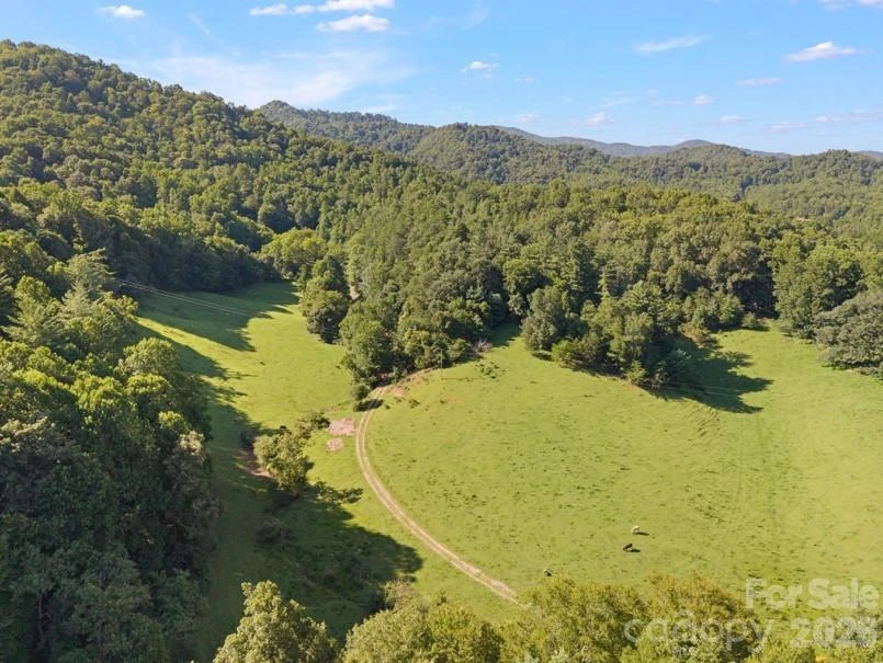 411 Big Sandy Mush Road - Photo 29