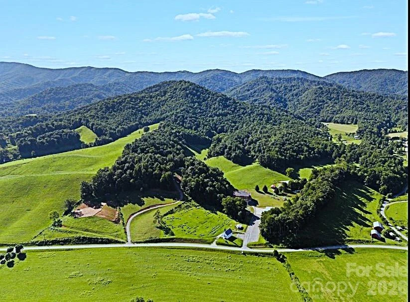 411 Big Sandy Mush Road - Photo 6