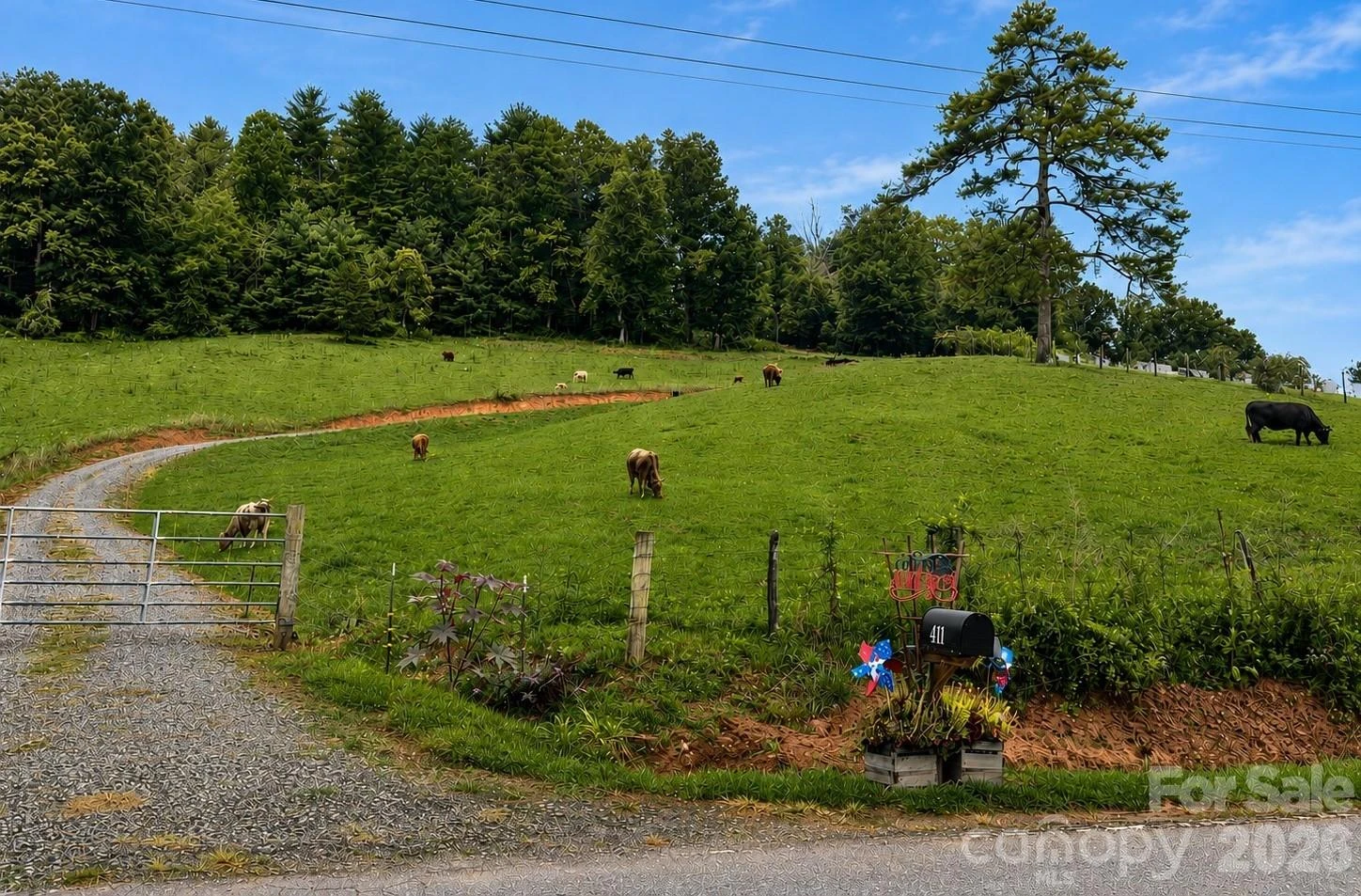 411 Big Sandy Mush Road - Photo 9