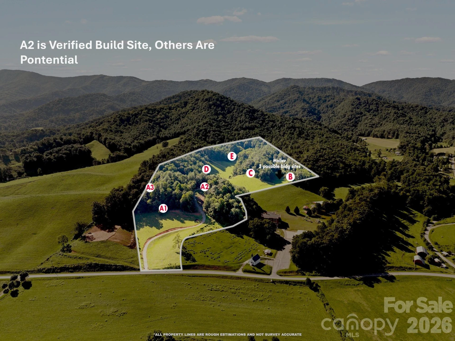 411 Big Sandy Mush Road - Photo 3