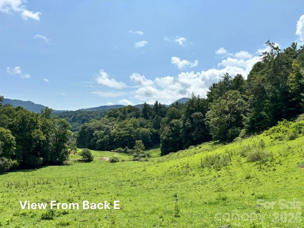 411 Big Sandy Mush Road - Photo 30