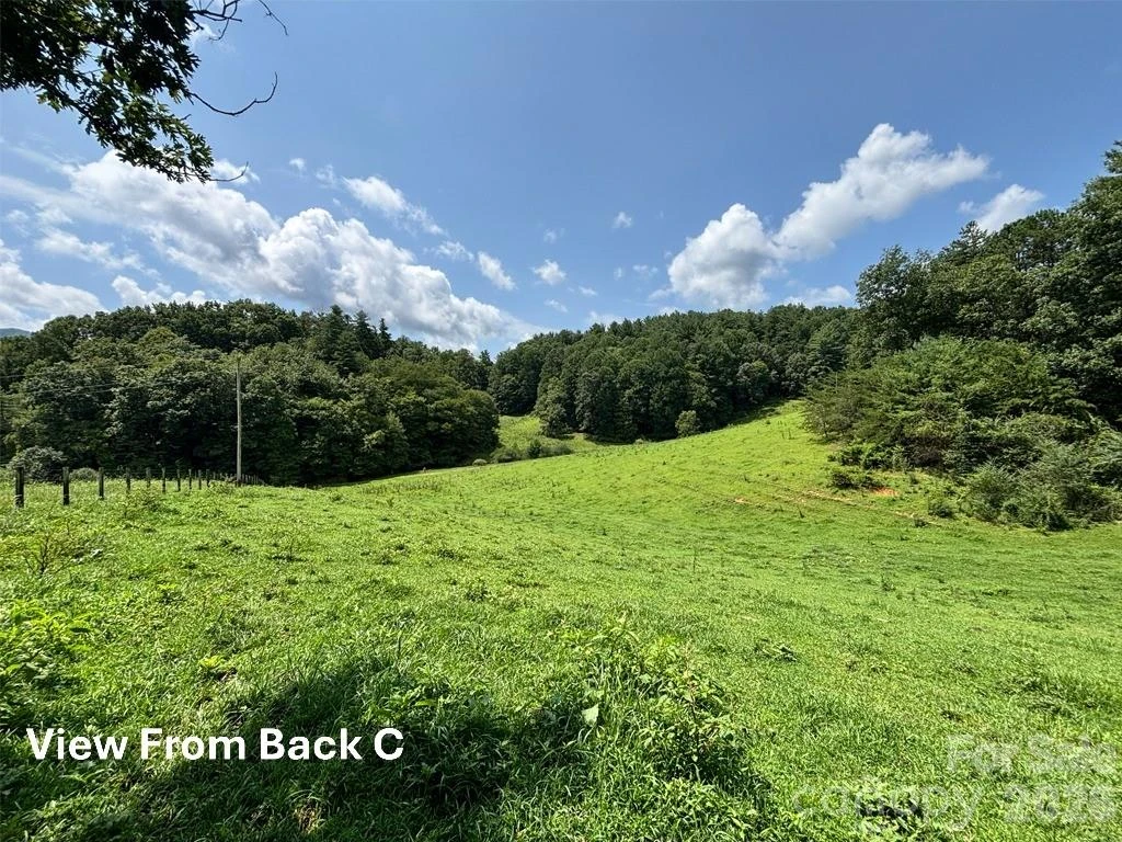 411 Big Sandy Mush Road - Photo 31