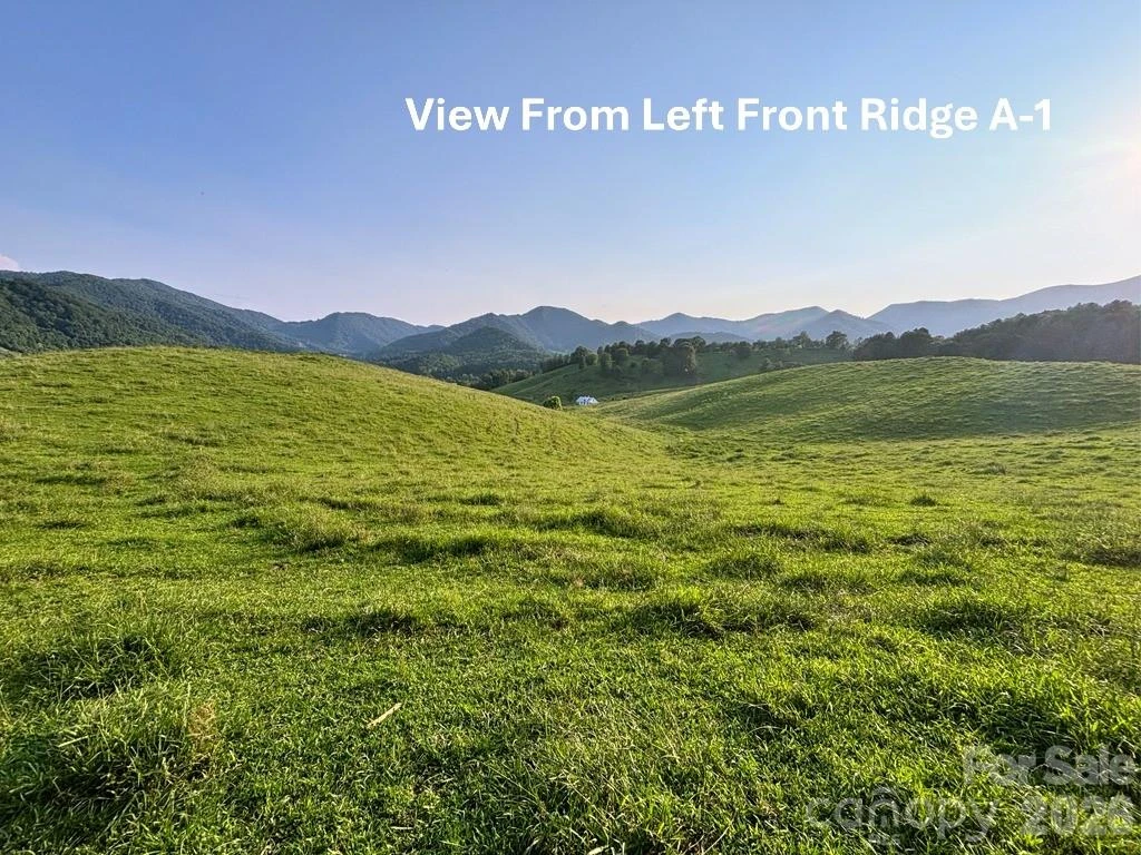 411 Big Sandy Mush Road - Photo 32