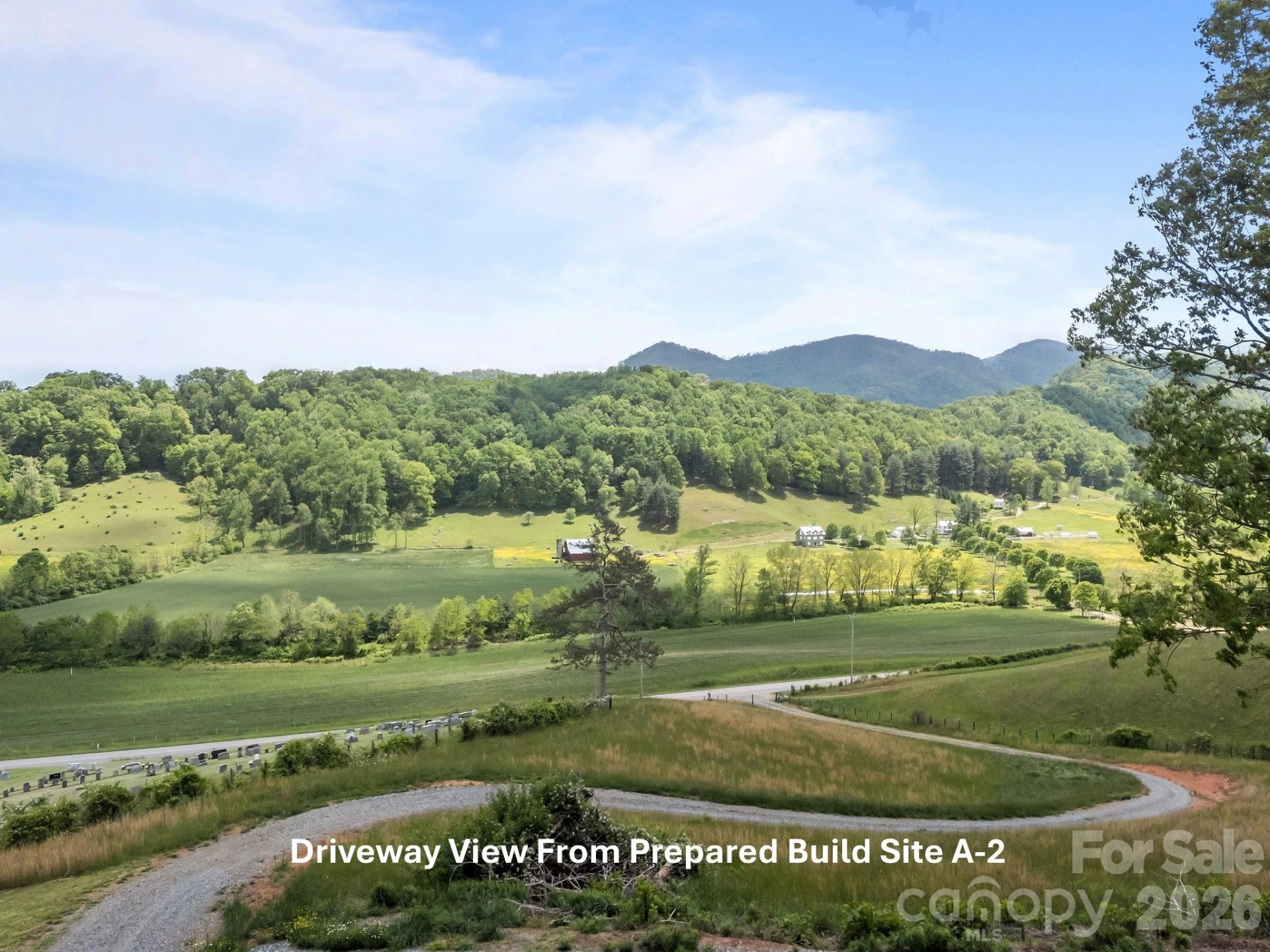 411 Big Sandy Mush Road - Photo 10