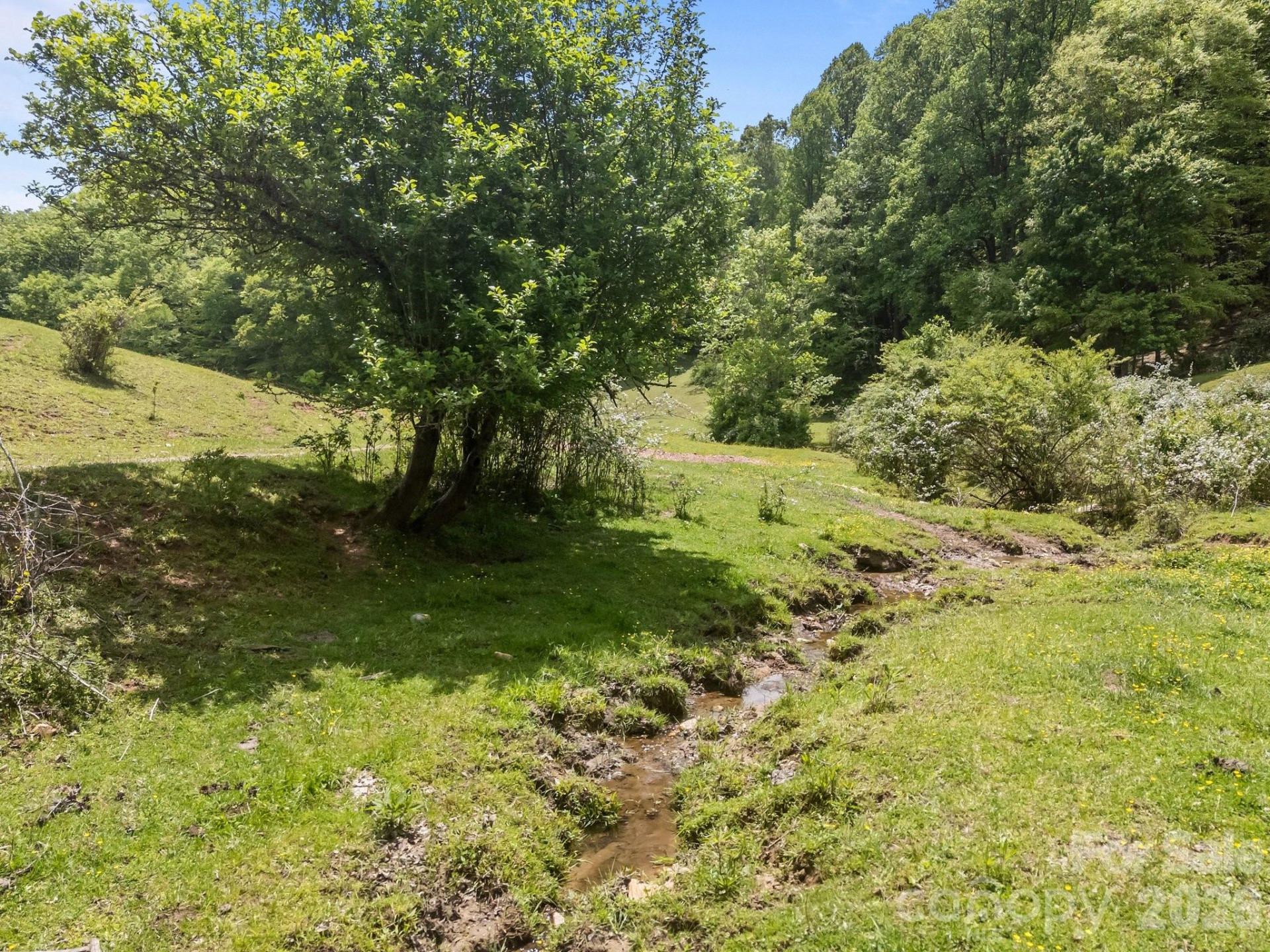 411 Big Sandy Mush Road - Photo 8