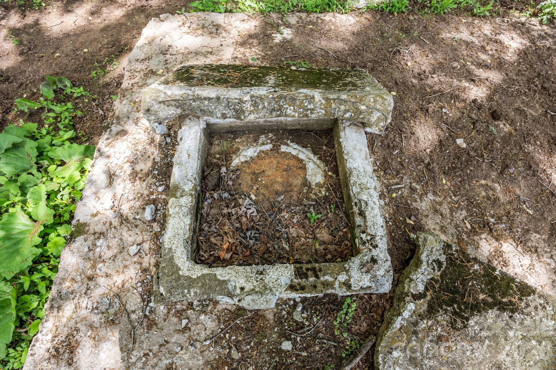 411 Big Sandy Mush Road - Photo 10