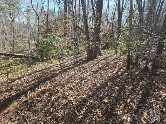 Lot 15 Jonathan Lane, Lake Lure, NC, 28746