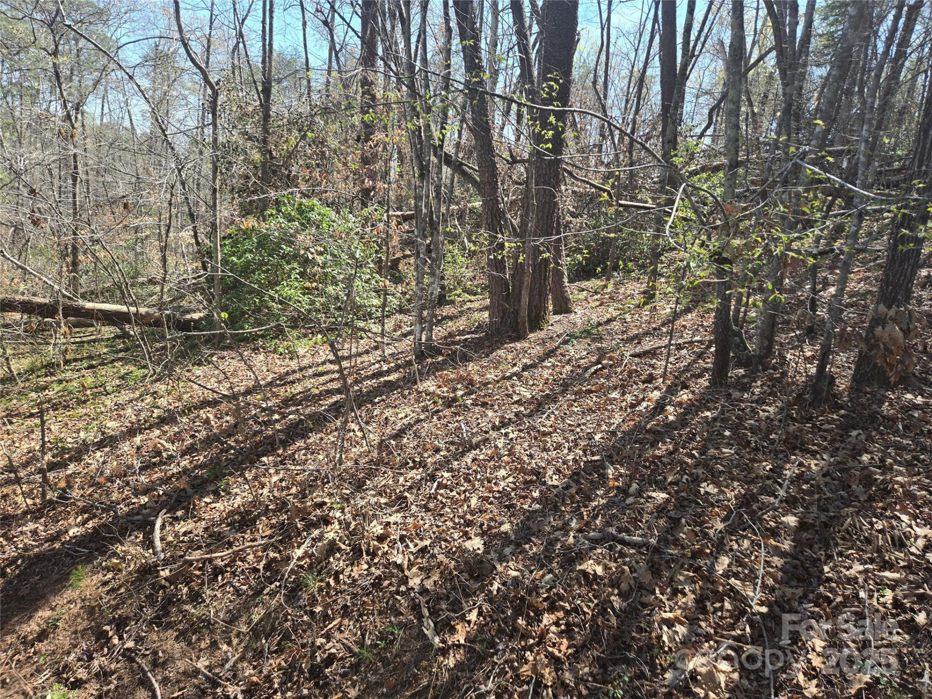 Lot 15 Jonathan Lane