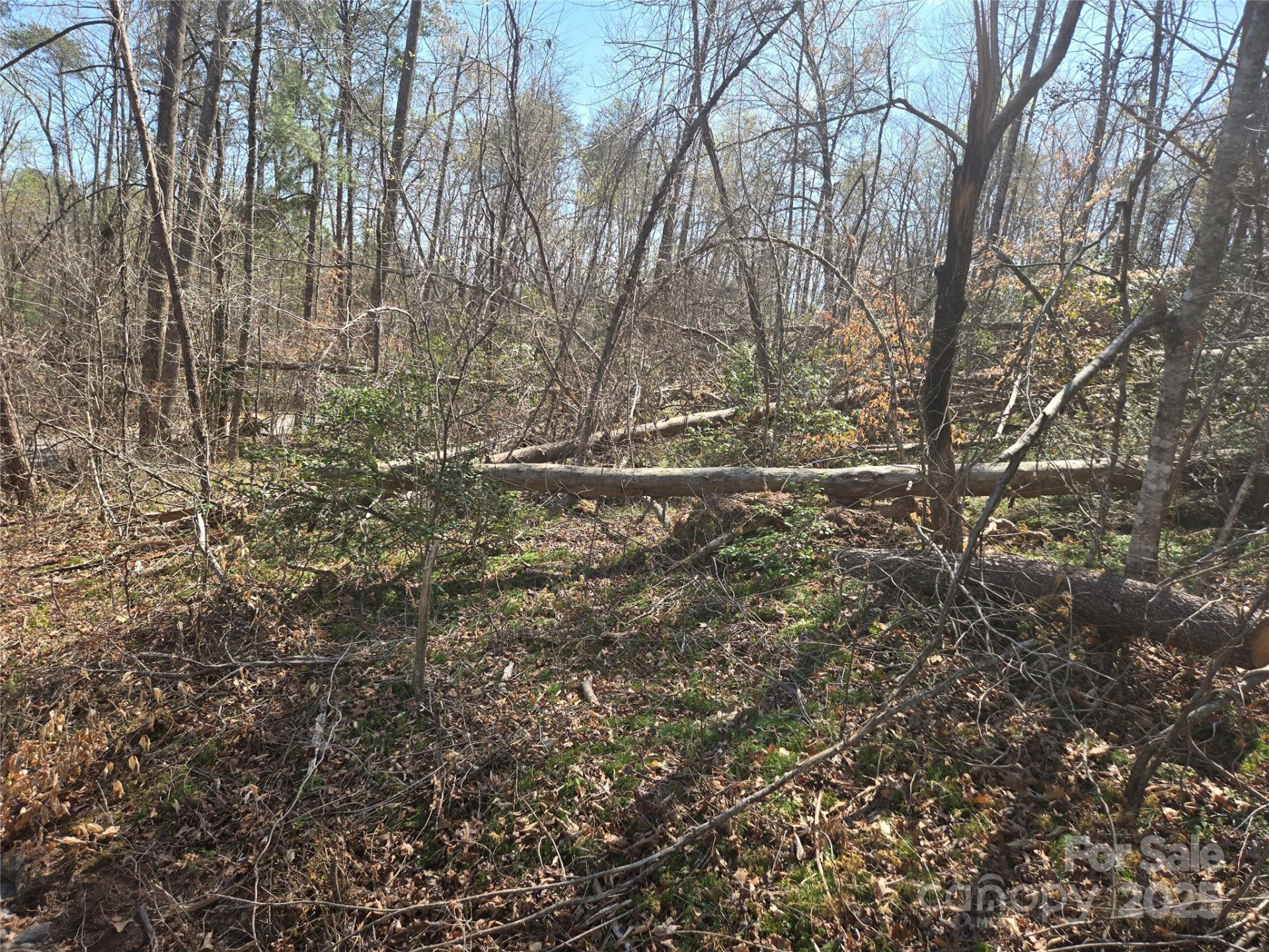 Lot 15 Jonathan Lane - Photo 2