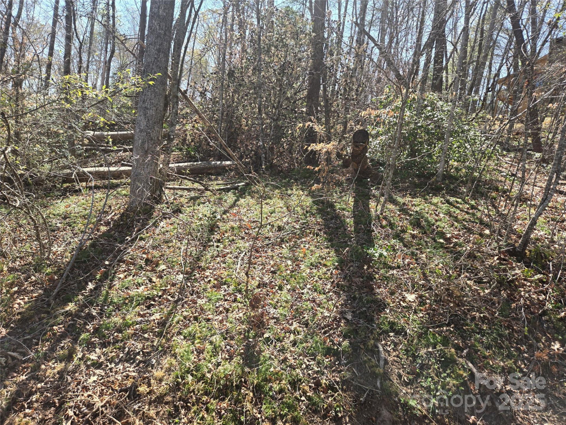 Lot 15 Jonathan Lane - Photo 4