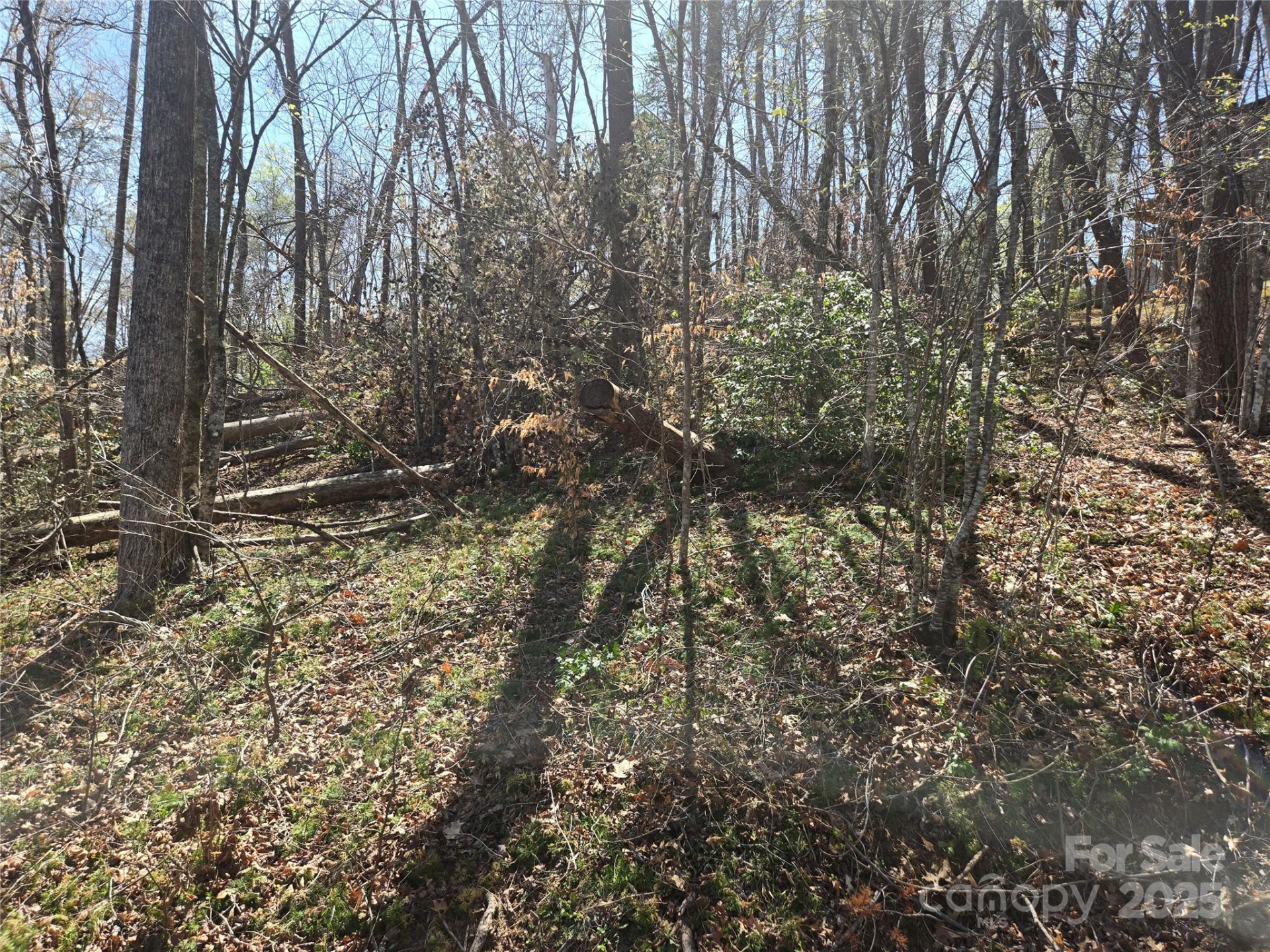 Lot 15 Jonathan Lane - Photo 6