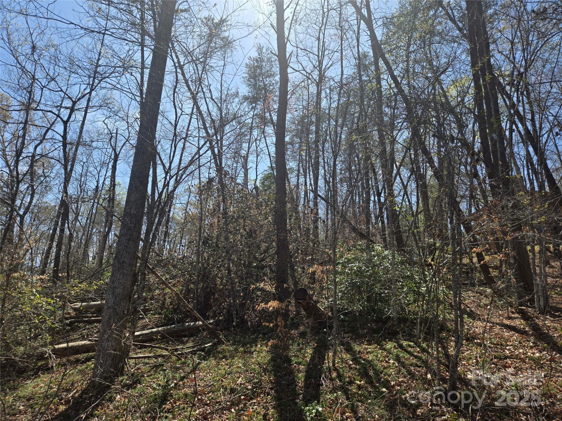 Lot 15 Jonathan Lane - Photo 7