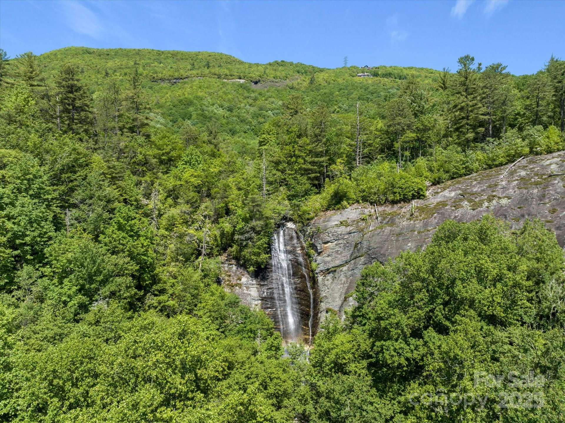 9999 Club Boulevard - Photo 2