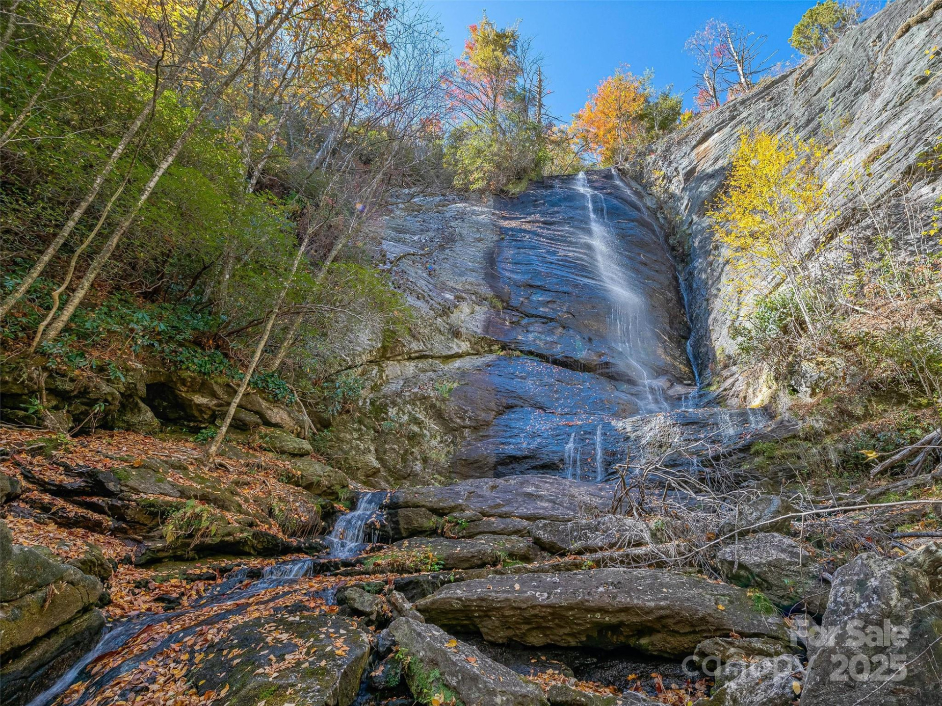 9999 Club Boulevard - Photo 11