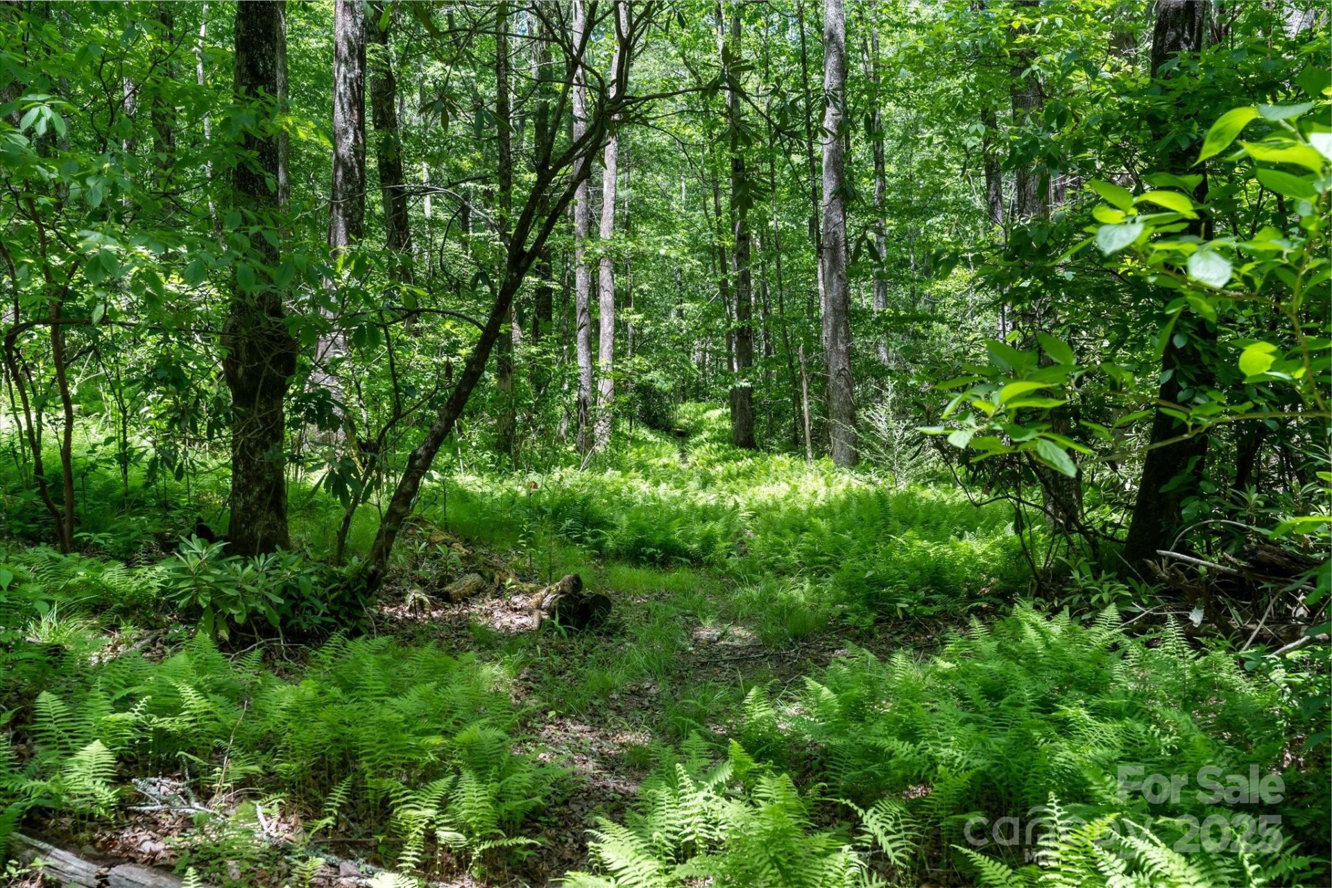 9999 Club Boulevard - Photo 12