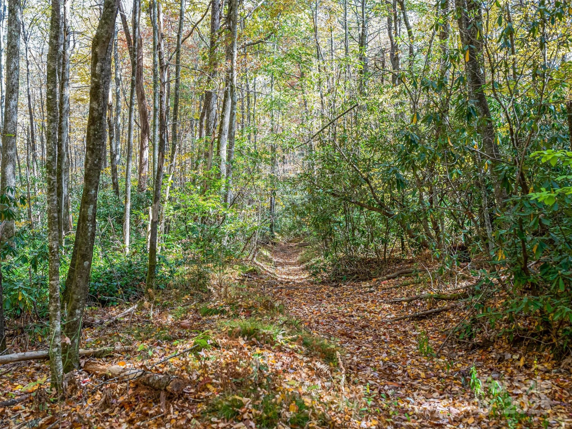 9999 Club Boulevard - Photo 14